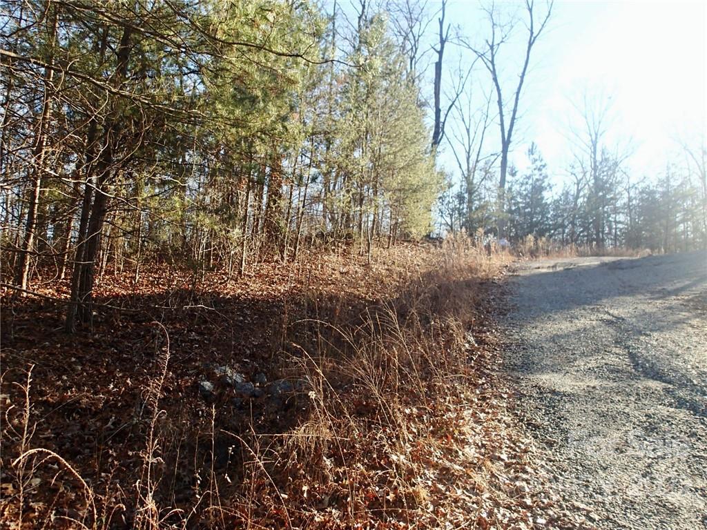 Tiny Homes Allowed! Looking for a lightly restricted lot in a great area, convenient to Rutherford, Polk and Spartanburg counties? No minimum building size and campers, RV's and camping are allowed. Very gently sloping lot has large flat area and easy access roads getting to property. Community Lake area with walking trails and picnic area by lake, underground utilities and easy access make this a rare find. Priced $15,000 under latest tax value!