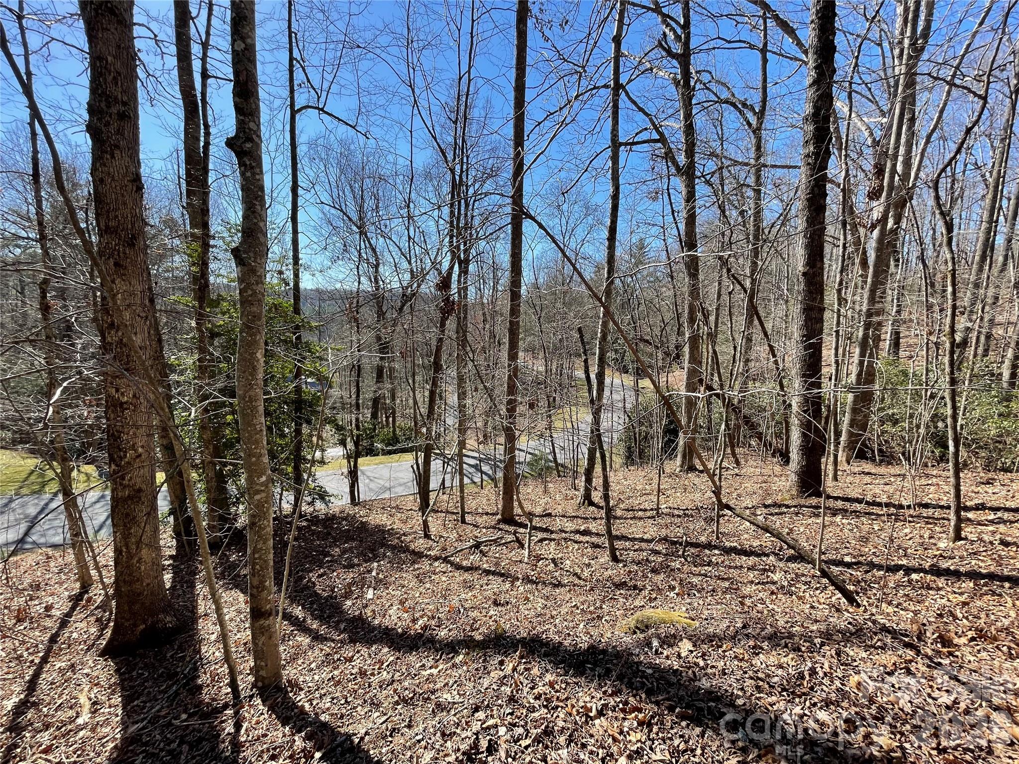 Champion Hills - Land