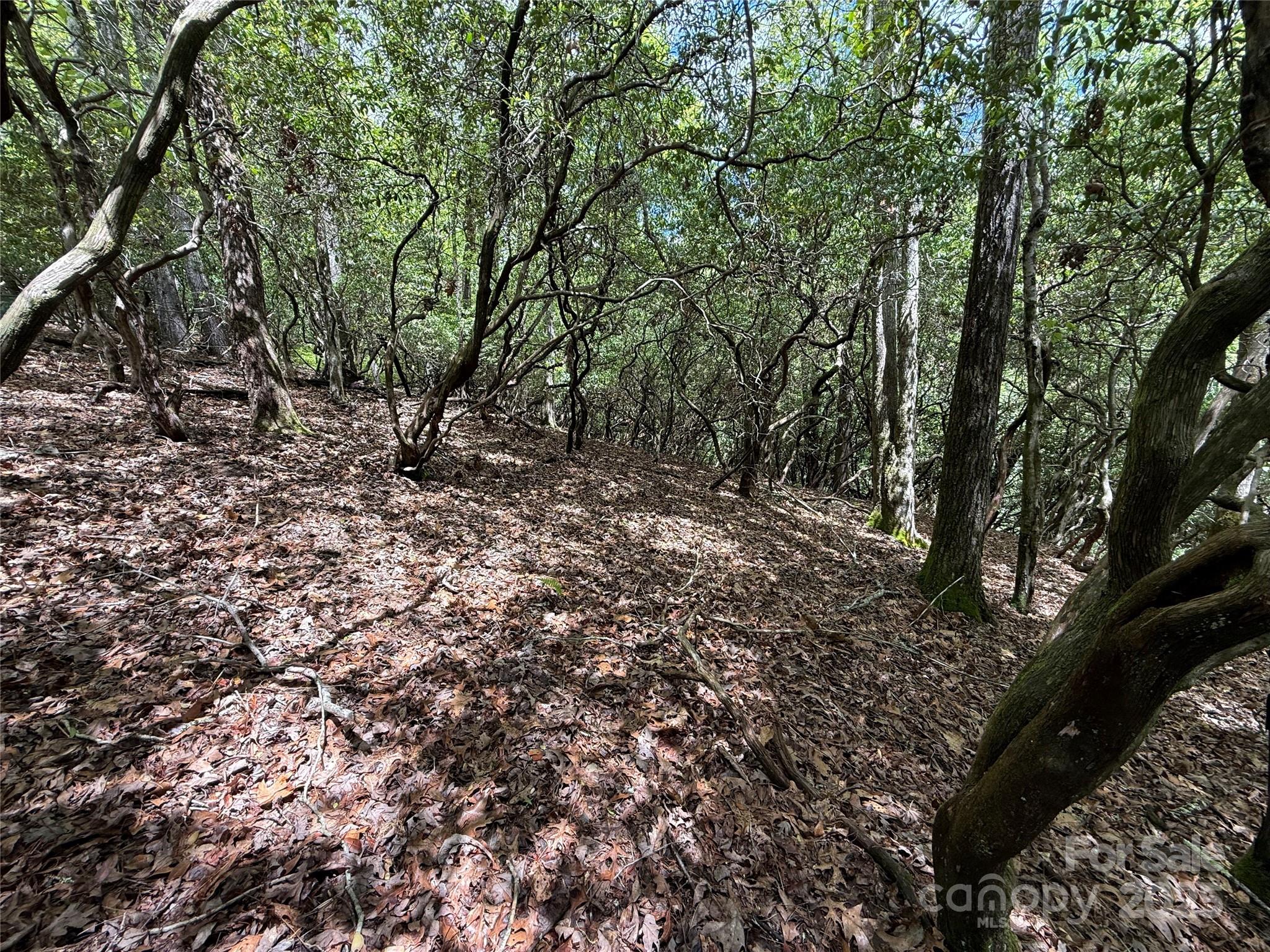 Connestee Falls - Land