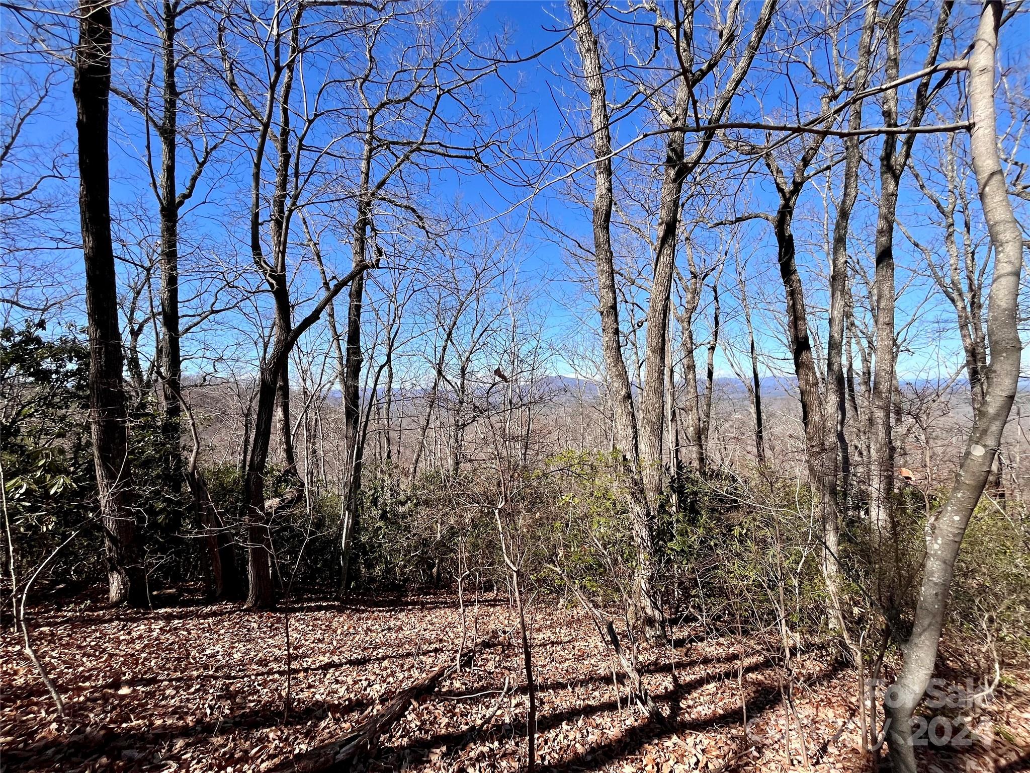 Forest Heights - Land