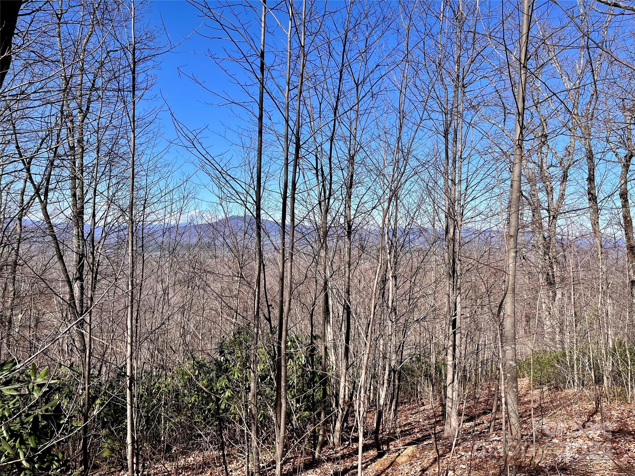 Forest Heights - Land