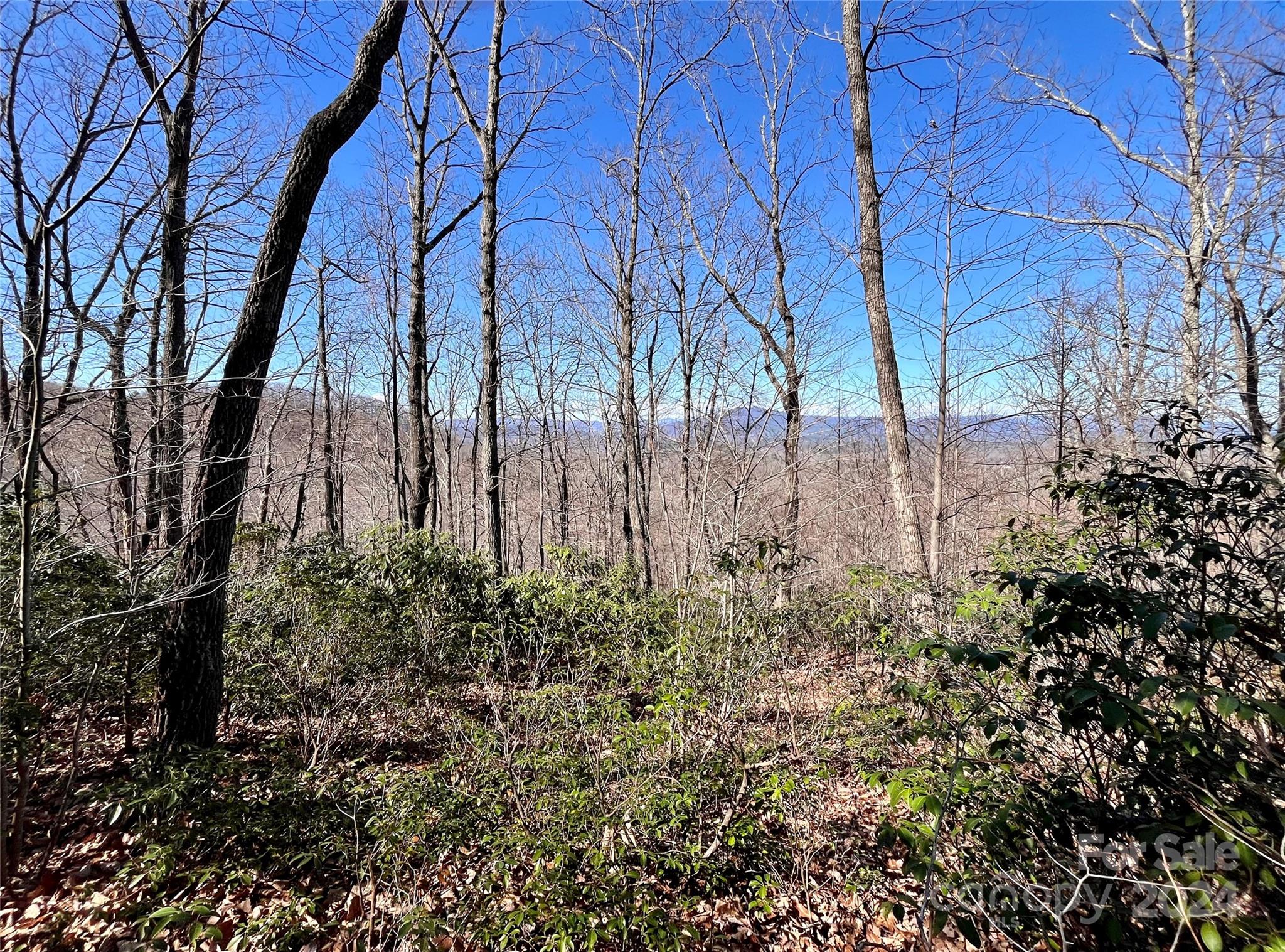 Forest Heights - Land