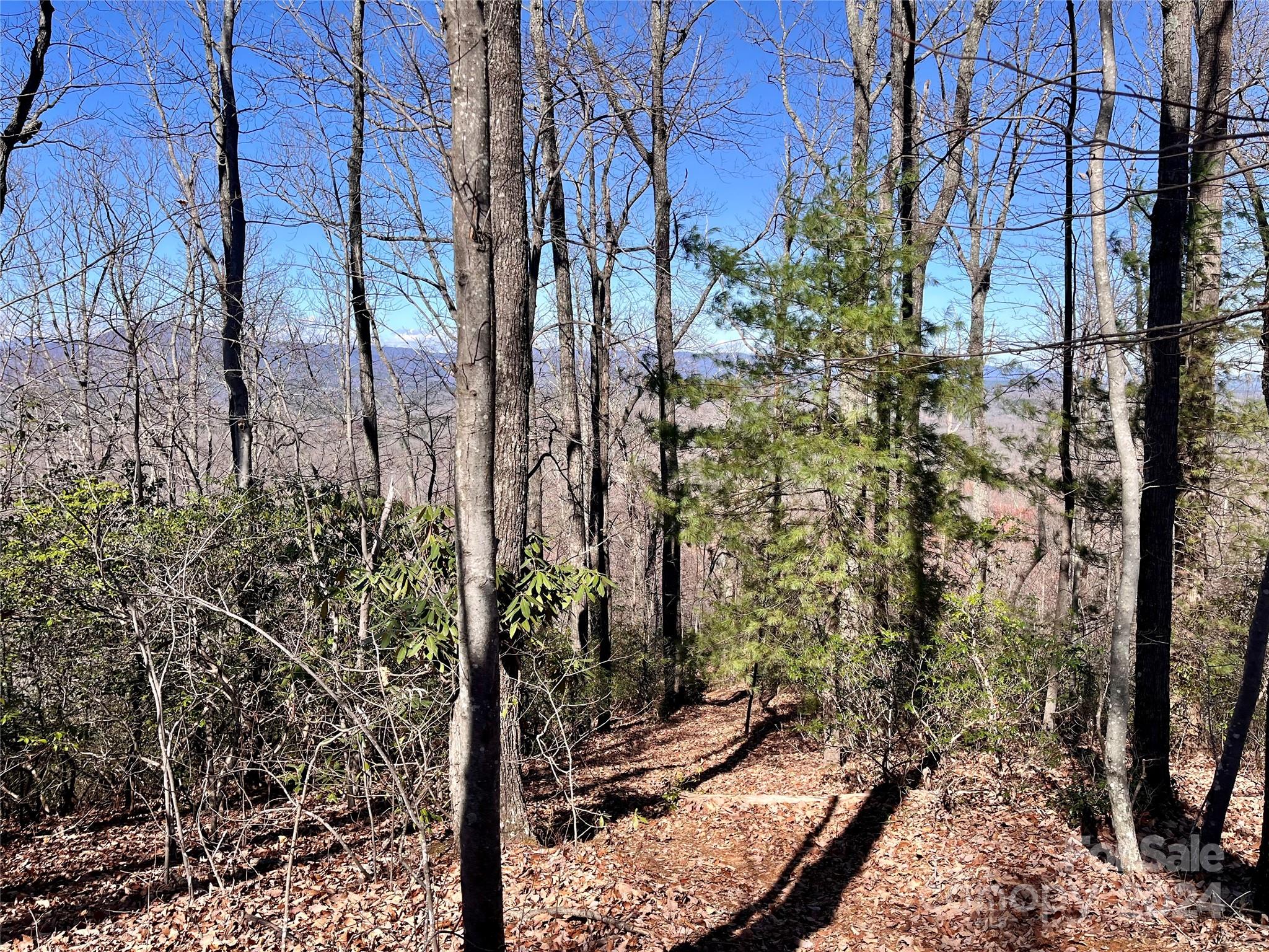 Forest Heights - Land