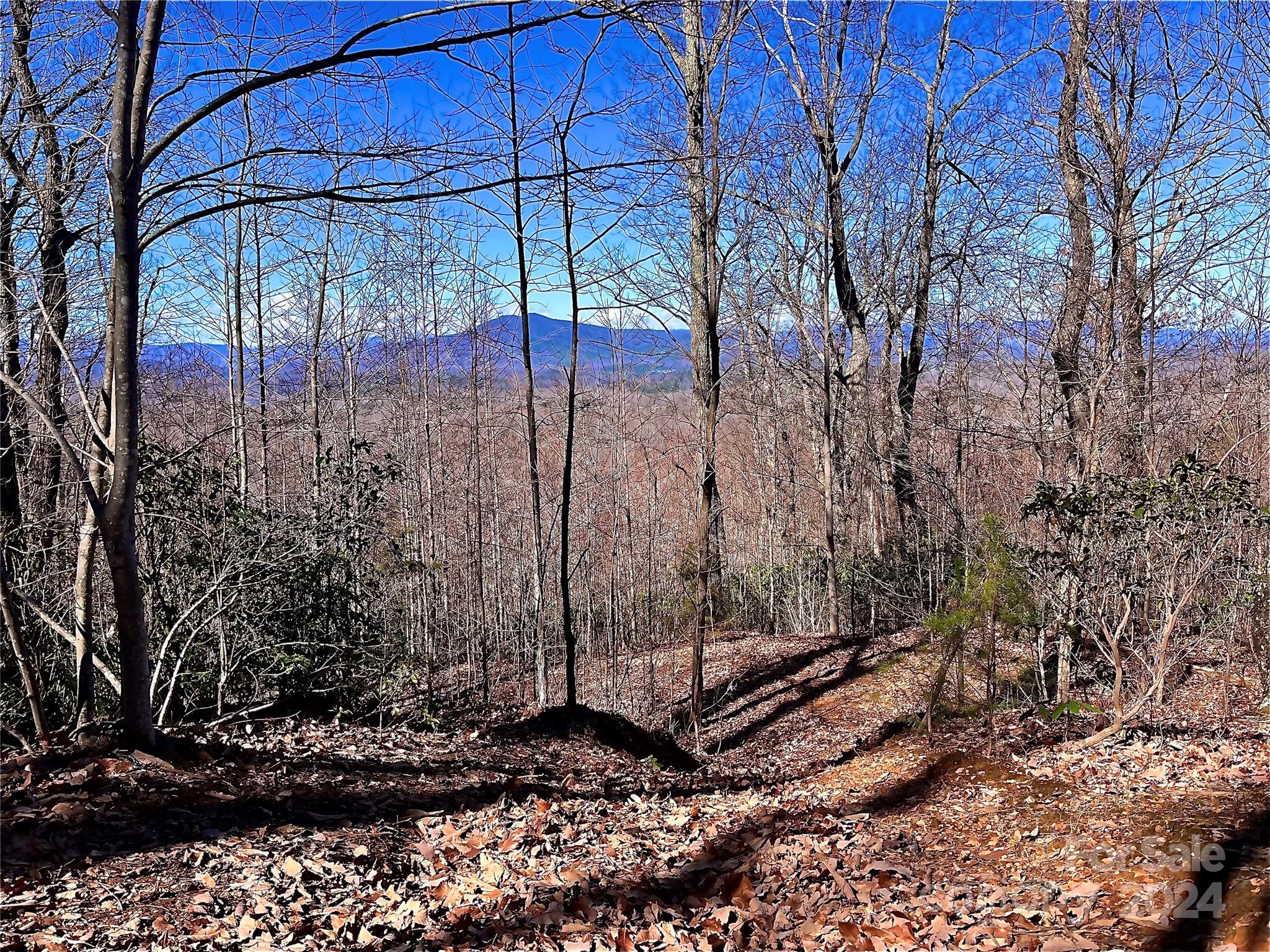 Nestled at the summit of Forest Heights lies a hidden gem awaiting your discovery. Picture yourself standing at the end of Big View Drive, where the name alone hints at the grandeur that awaits. As you gaze out across approximately 8.58 acres of pristine land, you're enveloped in a sense of awe and possibility, this property offers both seclusion and accessibility. Follow the path to a previously cleared building pad area. Forest Heights, a gated community mere minutes from downtown Marion and Lake James, provides the perfect blend of tranquility and convenience. Marvel at the panoramic views of Mount Mitchell, Table Rock, Hawksbill, and Shortoff Mountains that stretch before you. This isn't just a property—it's a canvas for your mountain retreat dreams to come to life. Embrace the whispers of nature and the promise of adventure that awaits in Forest Heights. Your storybook mountain escape begins here. Need Agent to view.