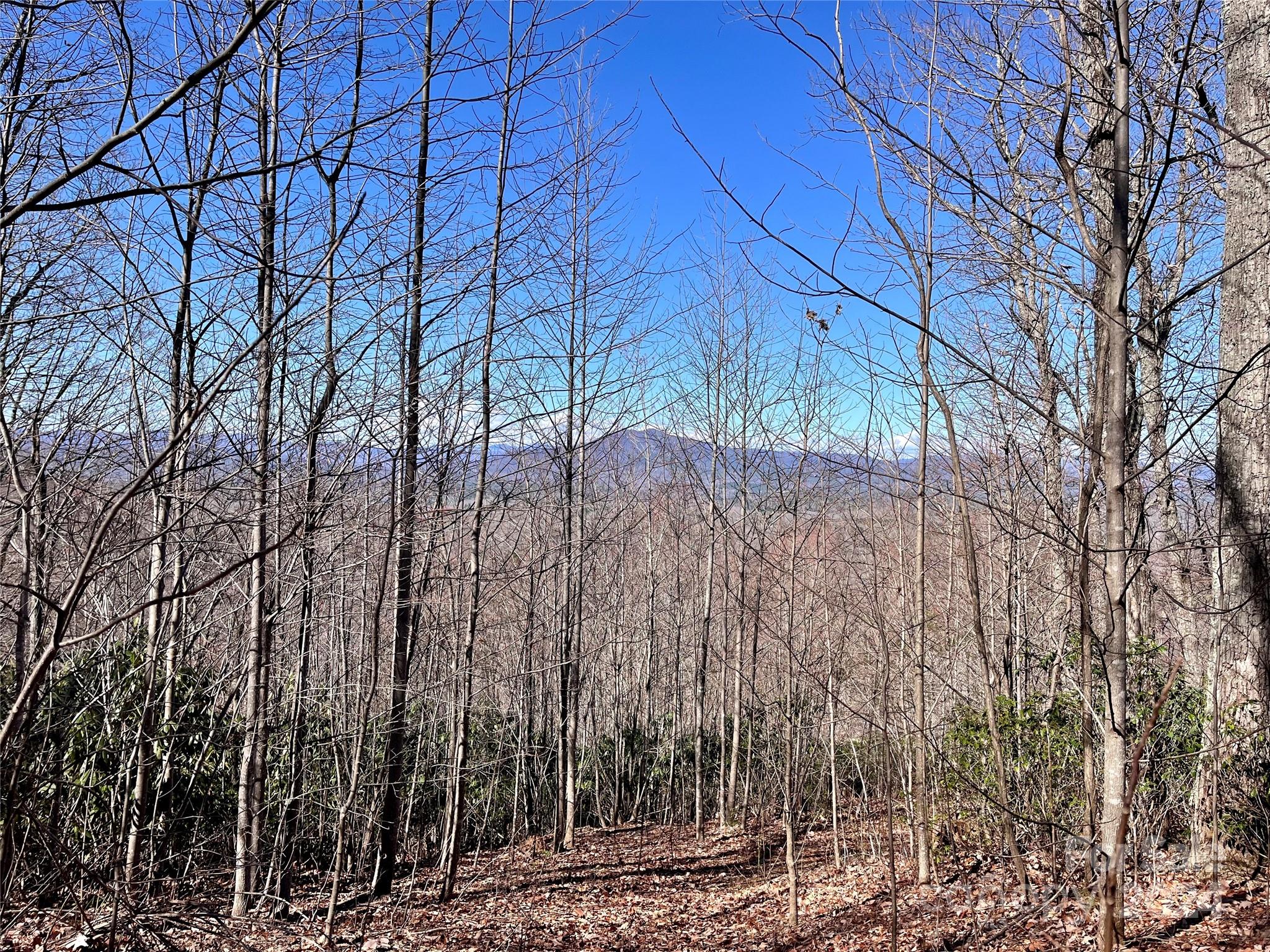 Forest Heights - Land