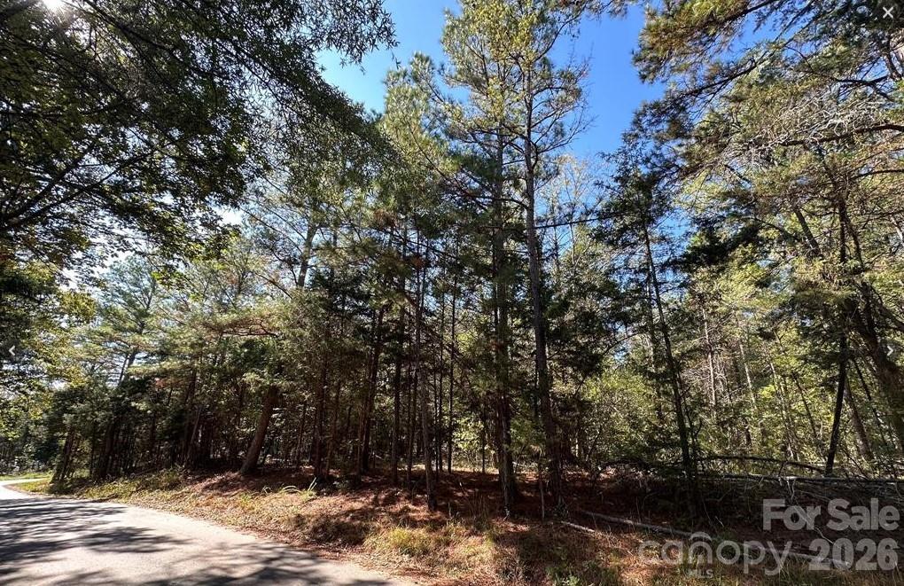 Discover the perfect spot to build your dream home on this beautiful (+/-) 0.528-acre lot located on Poverty Hollow Road in Fort Lawn, SC. Enjoy the peace and privacy of a quiet setting while still being just a short drive from local amenities, shopping, and dining. This spacious lot offers plenty of room for your ideal layout, outdoor living, and future growth. Whether you’re planning your forever home or an investment project, this property provides endless potential in a great location. Don’t miss this opportunity to create your vision from the ground up!