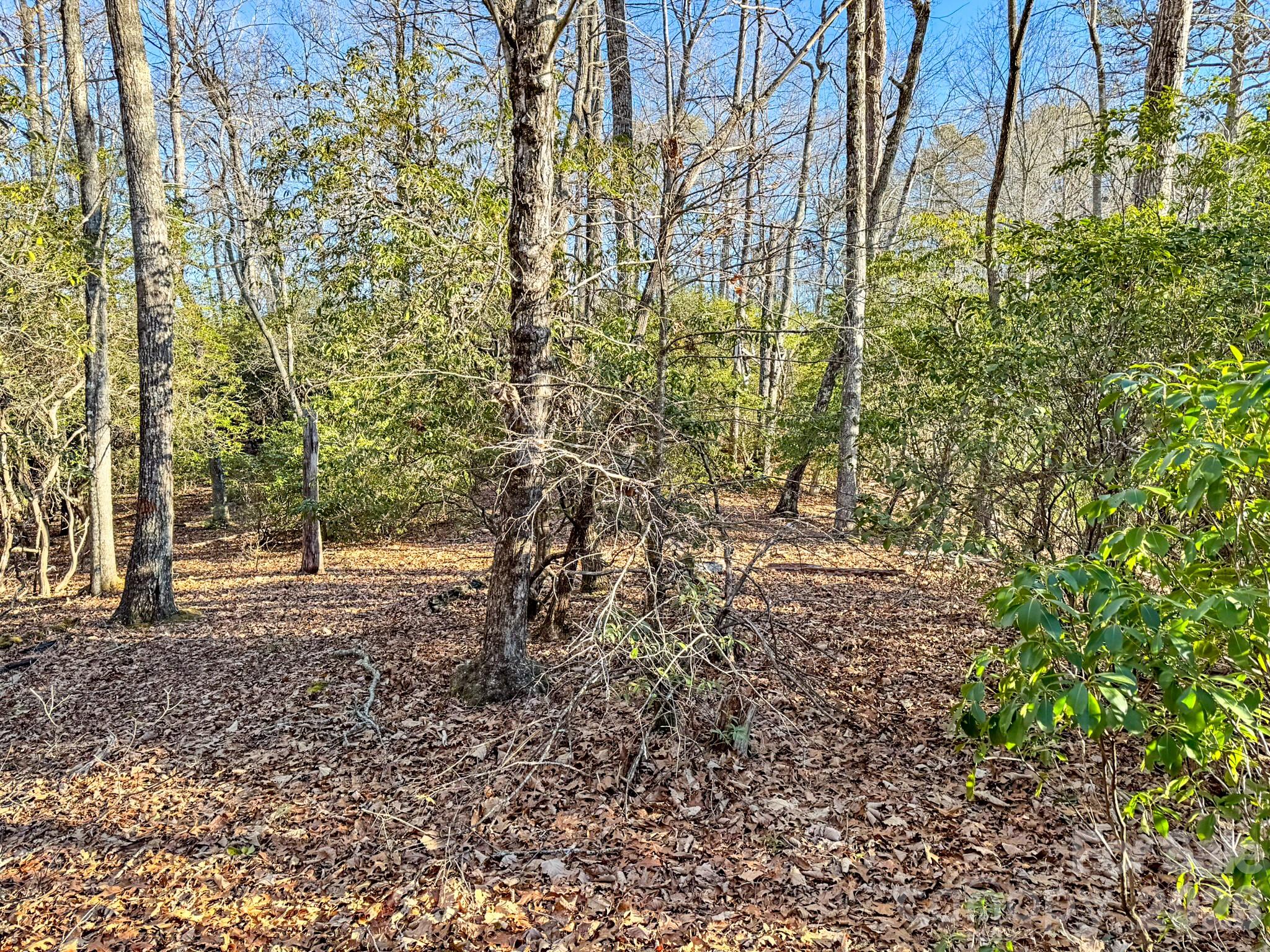 Homestead at Mills River - Land
