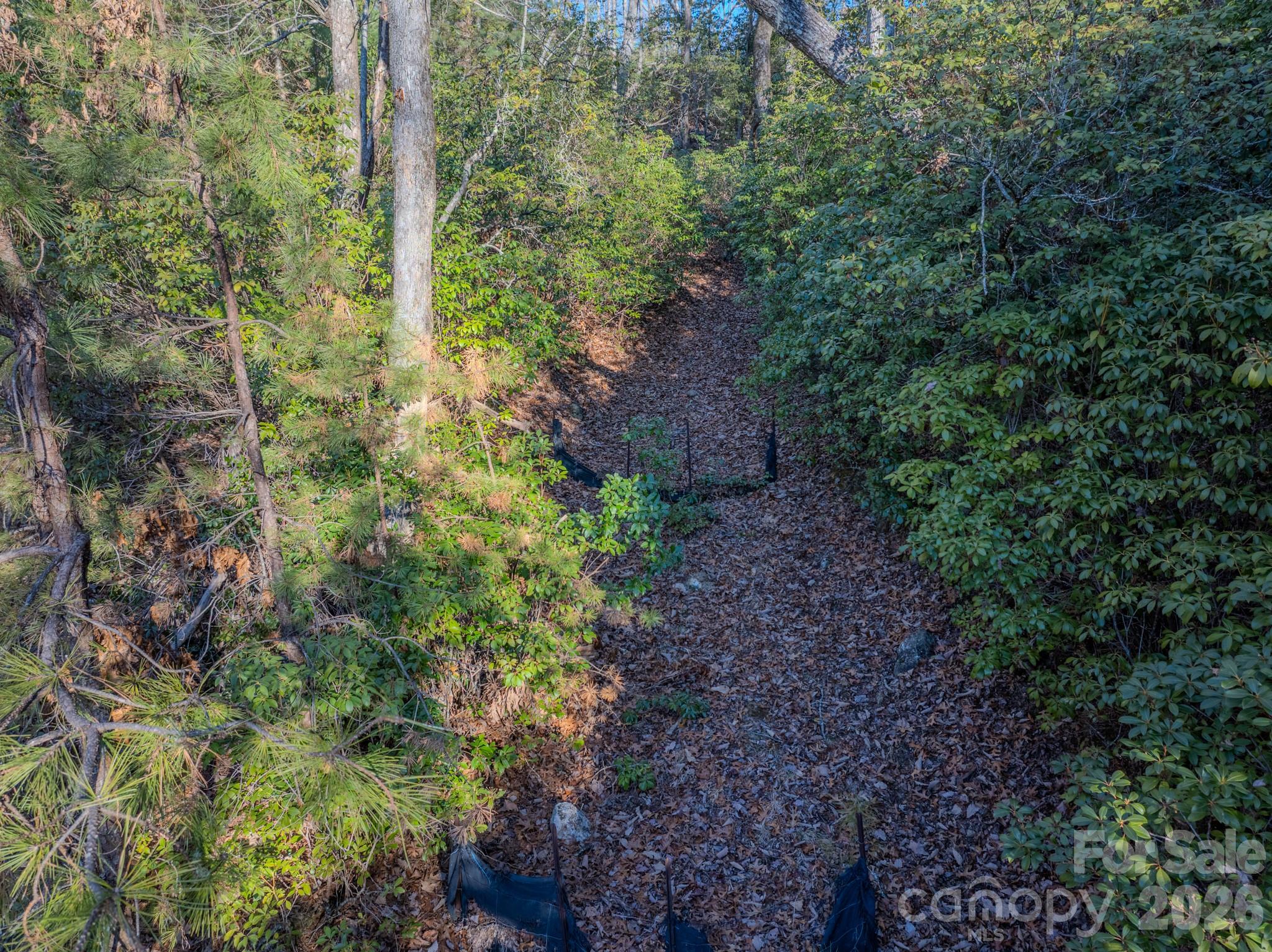Homestead at Mills River - Land