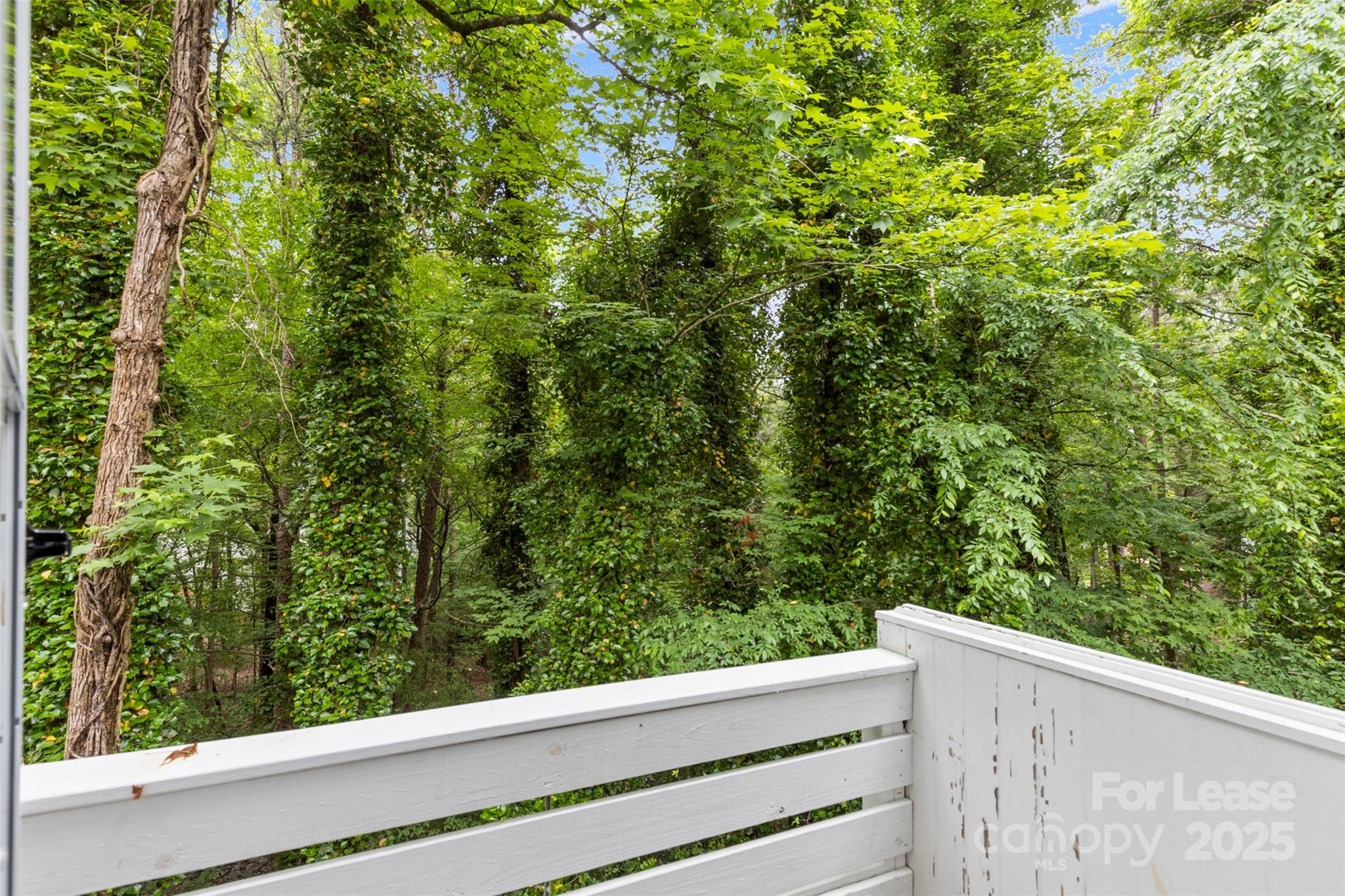 Tega Cay - Residential Lease