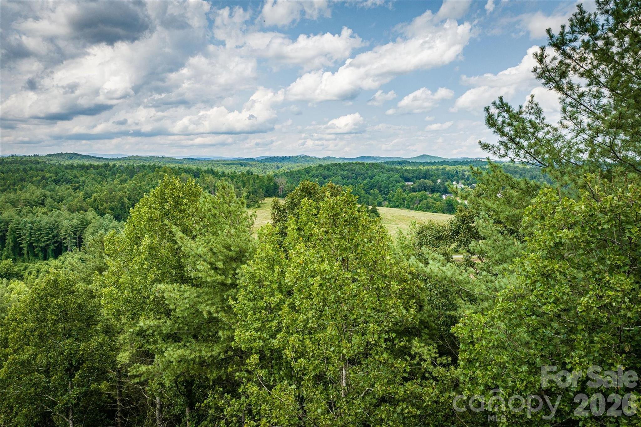 The Coves Mountain River Club - Land