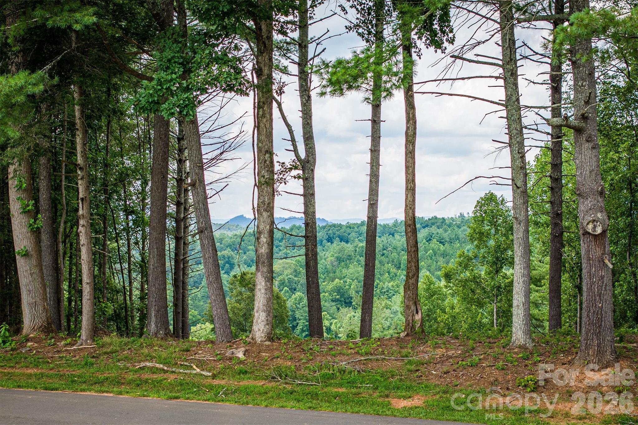 The Coves Mountain River Club - Land