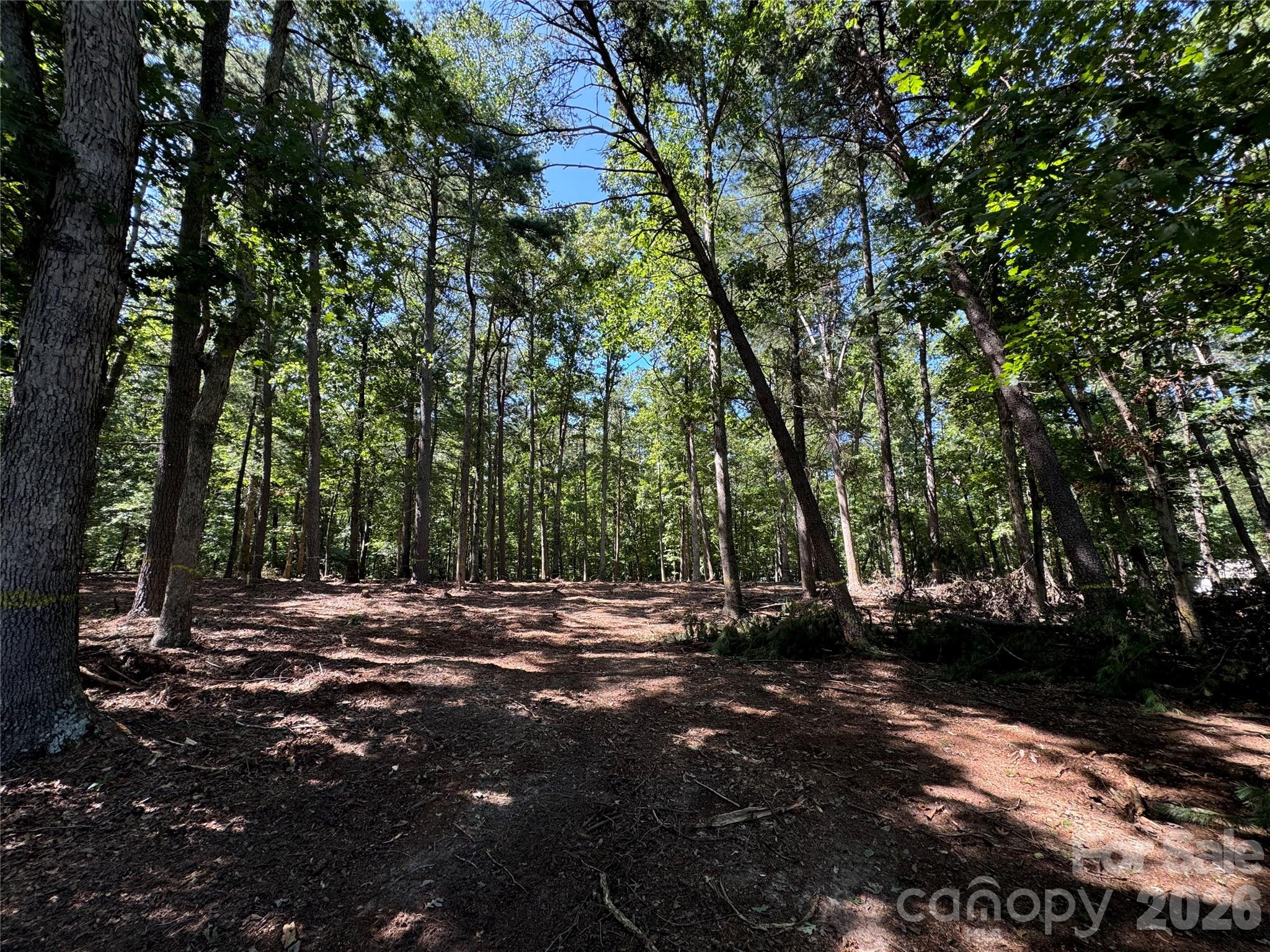 Welcome to this beautiful 13.49 acre property tucked away in a peaceful setting in Granite Falls. 
This land is truly ready for your dream home, featuring a brand-new survey, completed perc test for a 4-bedroom/3-bath home, and improved drainage already in place. Utilities are ready to go with a water tap installed and power available at the pole, plus several cleared areas offering flexibility for your homesite, garden, or outdoor living spaces.
Access is convenient and well-planned with two driveways already in place, along with a single 30-foot right-of-way entrance leading you into the property. The land is also farm-qualified with a farm number and tax exemption in place, offering valuable agricultural benefits.
What makes this property special is its natural beauty, creating a peaceful, private atmosphere and attracting abundant wildlife including deer. The property sits beside a large open field, adding to the expansive, quiet feel of the surroundings. Property features two streams that may offer potential for a future irrigation system, subject to buyer verification and any applicable permits or regulatory approvals. Excellent opportunity for horticulture, gardening, landscaping, orchards, pasture management, livestock, or other agricultural and homesteading uses. According to NC Department of Environmental Quality (NCDEQ) guidelines, the property also has potential for future pond development.
Whether you’re looking to build, farm, or simply enjoy a private retreat in nature, this property offers the perfect blend of usability, beauty, and freedom all in a highly desirable rural location.