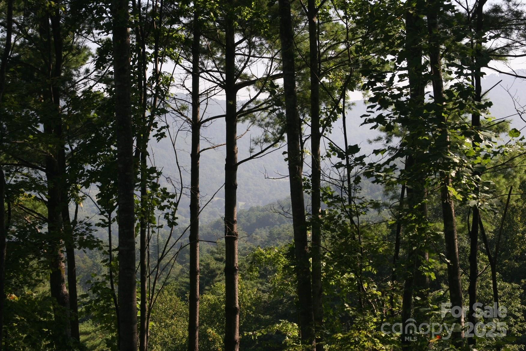 Grove Park Cove - Land