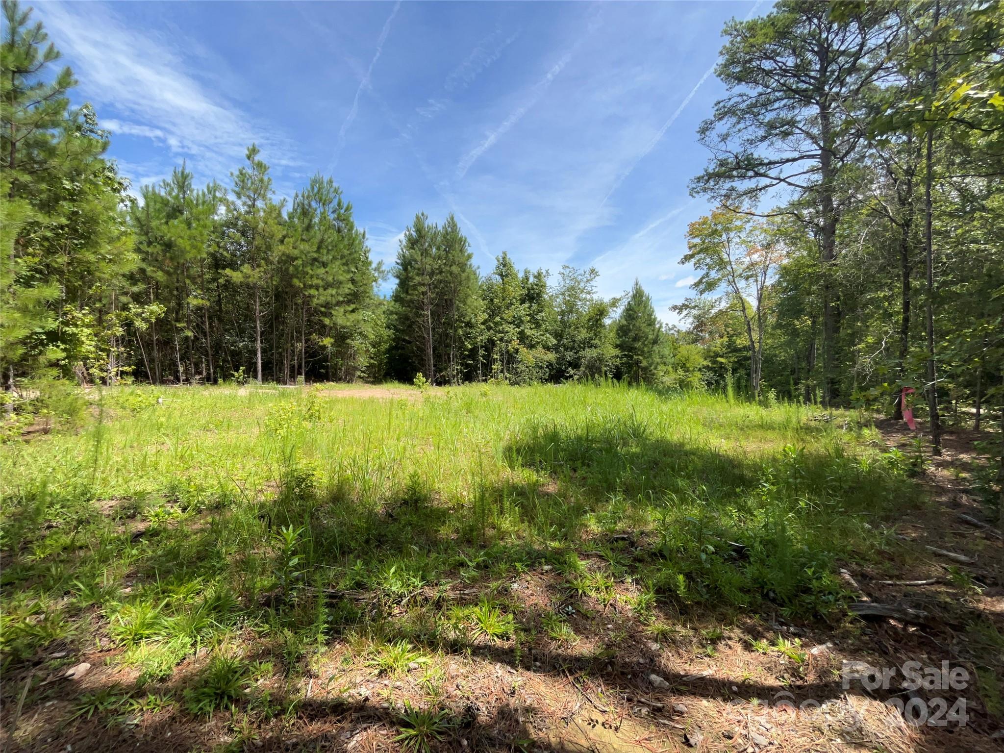 Discover the perfect canvas for your dream home on this picturesque 2-acre lot located on Frank Hallman Drive in Lancaster County, South Carolina. This exceptional property offers an array of features that make it a standout choice for your future residence. The lot has been pre-approved and tested for a septic system, saving you time and effort in the building process. Half of the property has already been cleared of timber, providing a beautiful open space while still preserving the natural beauty of the remaining wooded area. A gravel road has been installed, ensuring easy and reliable access to the property. Enjoy the convenience of county water accessibility right at the street, making utility hookup straightforward and hassle-free. Situated on Frank Hallman Drive, this lot offers a short and convenient commute to both Waxhaw, NC, and Lancaster, SC. Experience the best of both worlds with access to charming small-town living and nearby city amenities.