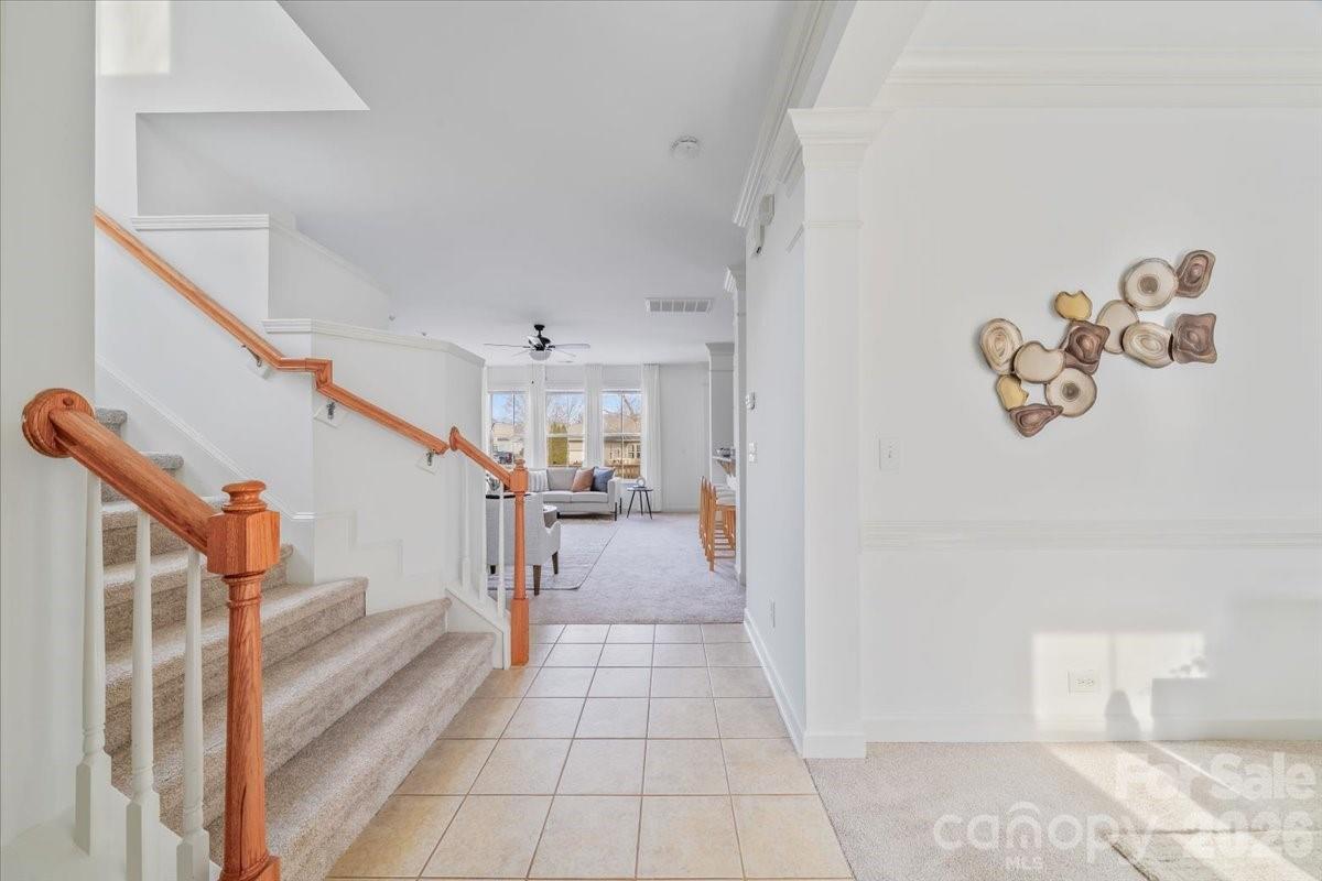 Brighton Park - Residential