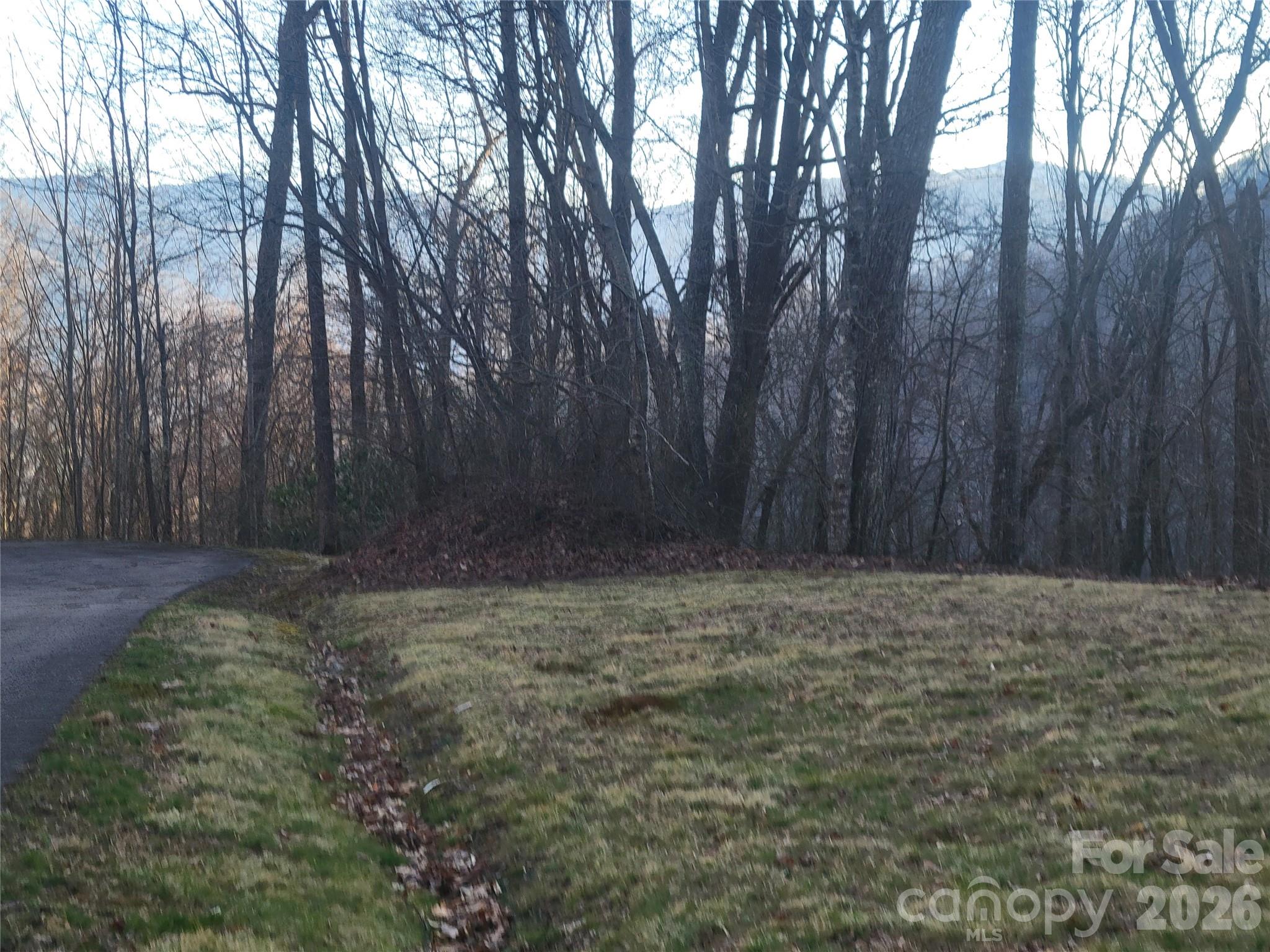 The Cove at Maggie Valley - Land