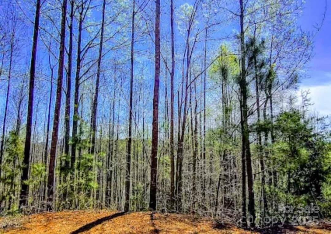 Tucked inside the scenic 1100+ acre gated community of Yellowtop Mountain Estates, this 1.22-acre wooded lot offers an ideal setting for your mountain getaway or future retirement home. The property features gentle slopes and natural hardwoods, providing privacy and year-round beauty. Located along well-maintained paved roads with underground utilities and a secure entrance, residents enjoy both seclusion and convenience.
From this peaceful location, you’ll be just a short drive from Forest City, Marion, and Lake Lure, as well as outdoor adventures at South Mountain State Park and local favorites like Yogi Bear’s Jellystone Park. The $360 annual HOA fee helps maintain community standards and road upkeep, and a 1,200-sq-ft minimum building size keeps the neighborhood cohesive and attractive.
Bring your house plans, your mountain dreams, and a love of quiet Carolina mornings — this Yellowtop lot is ready for you.
Westridge Drive, Bostic, North Carolina 28018
Subdivision: Yellowtop Mountain Estates, Phase 10 Lot 153
Utilities: Well and septic needed
Restrictions include: No manufactured homes; 1,200 sq. ft. minimum