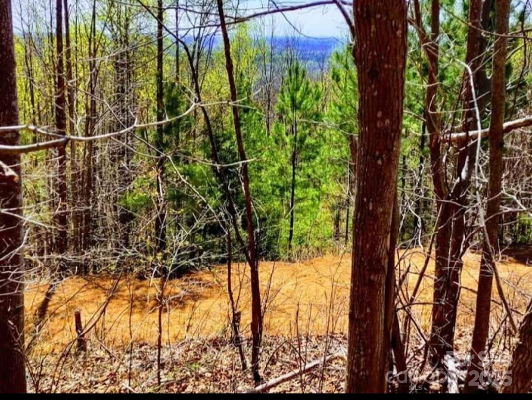 Yellowtop Mountain Estates - Land