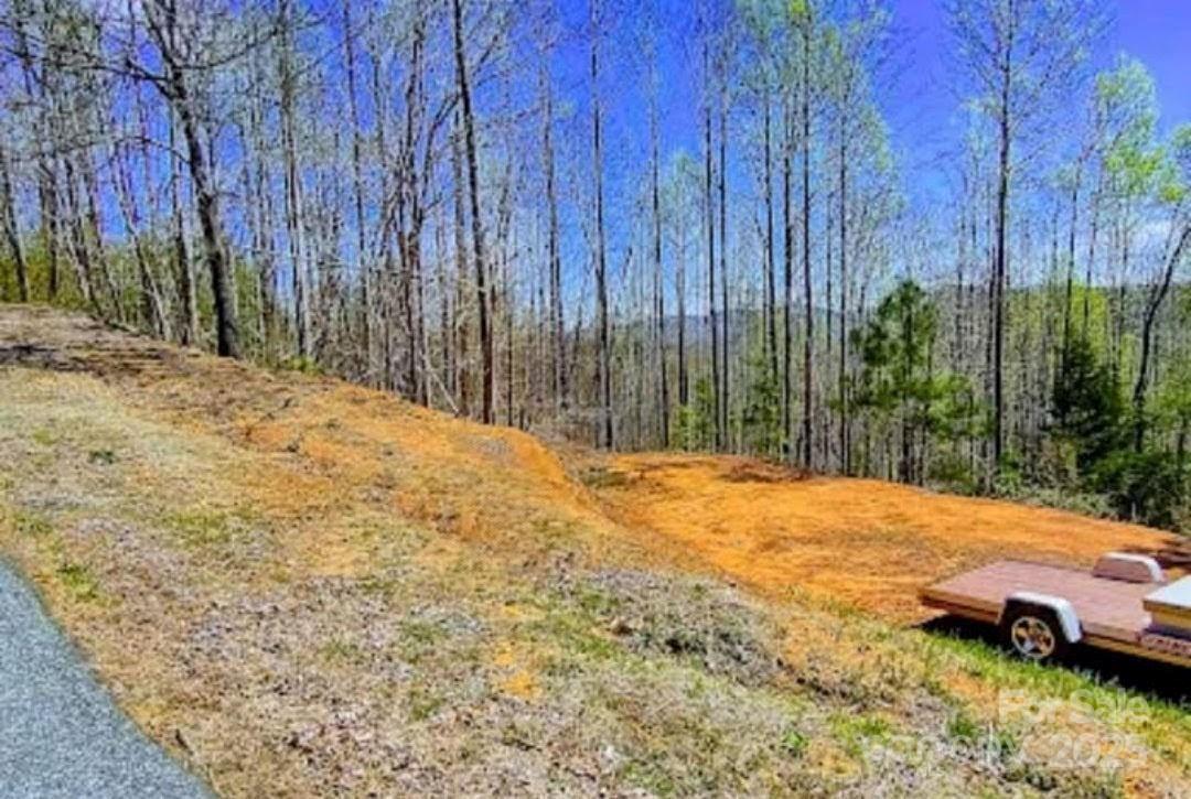 Yellowtop Mountain Estates - Land
