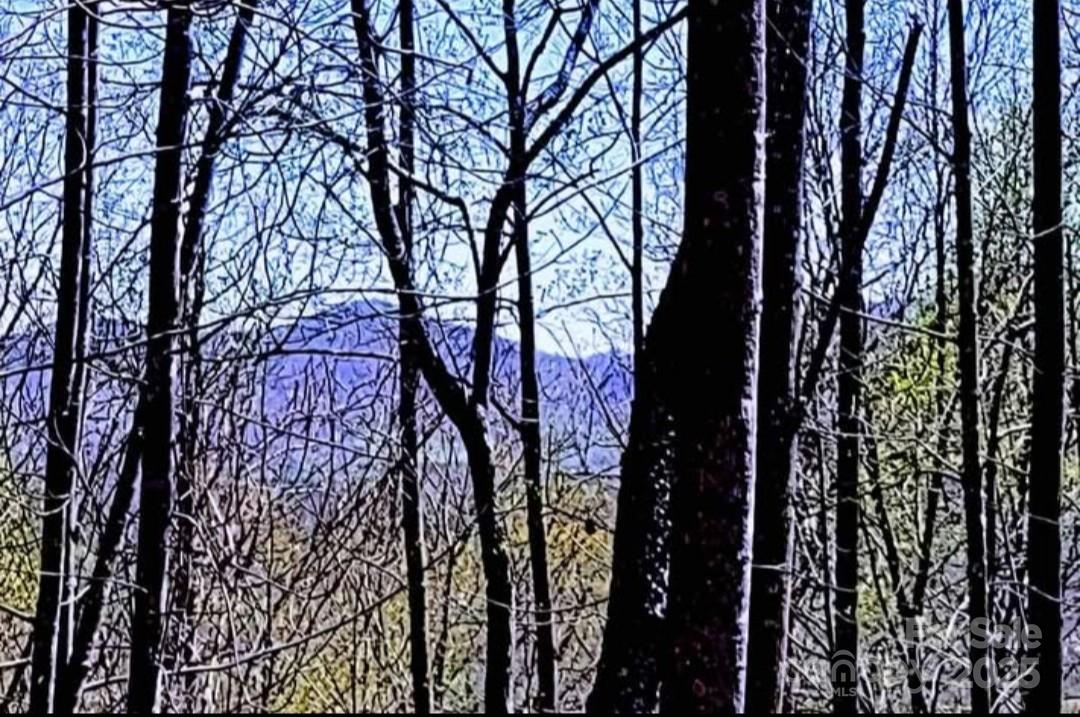 Yellowtop Mountain Estates - Land