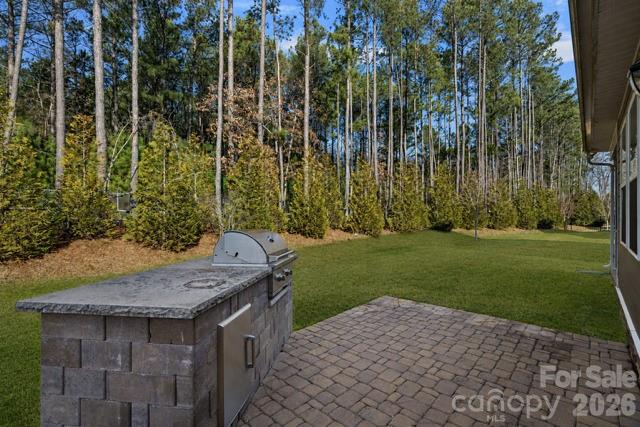 Imagery On Mtn Island - Residential
