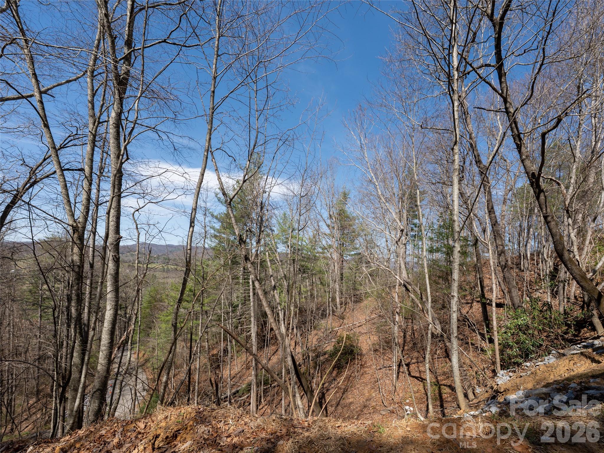 Okoboji Wilderness - Land