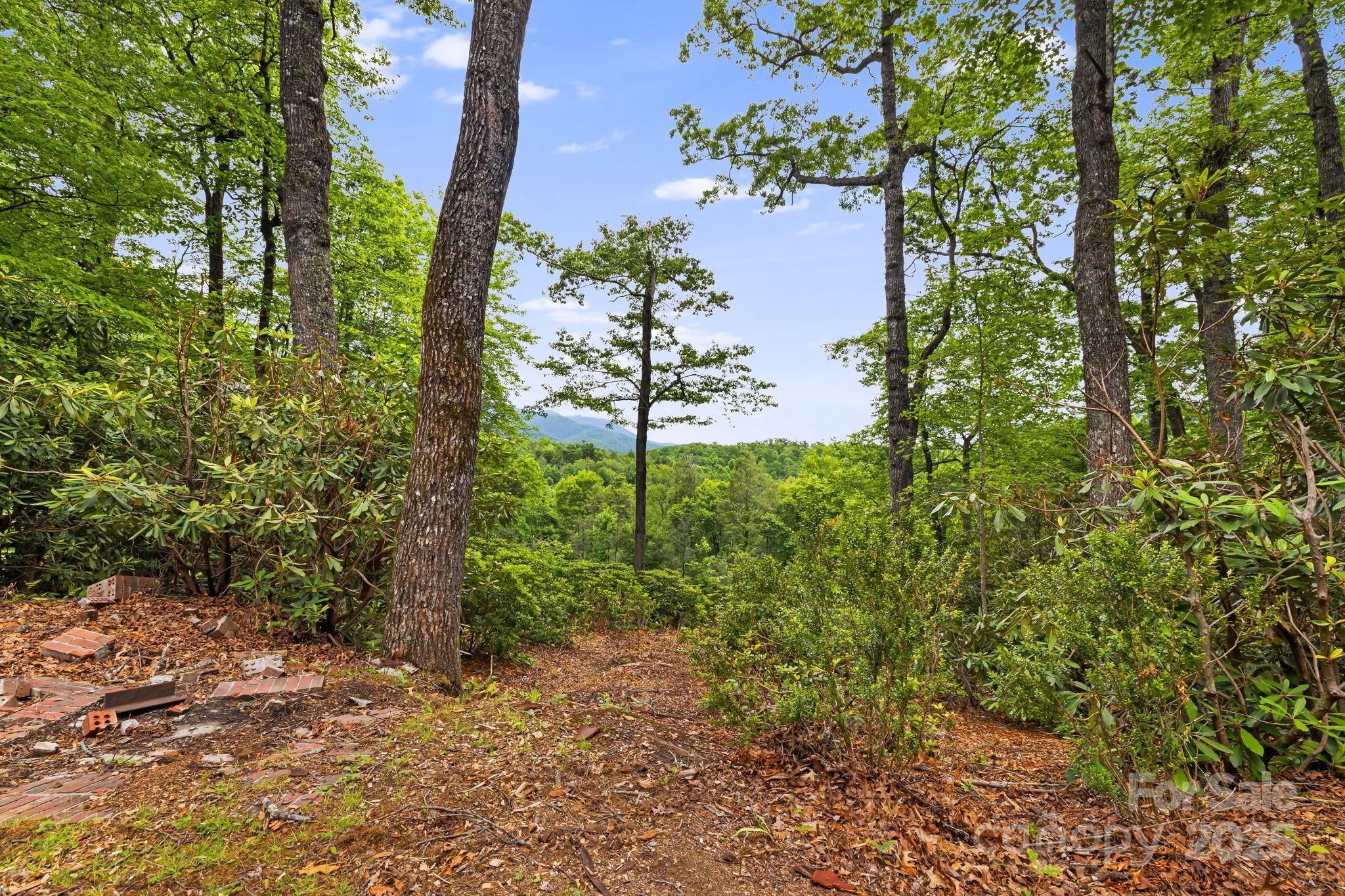Mt. Mitchell Lands - Residential