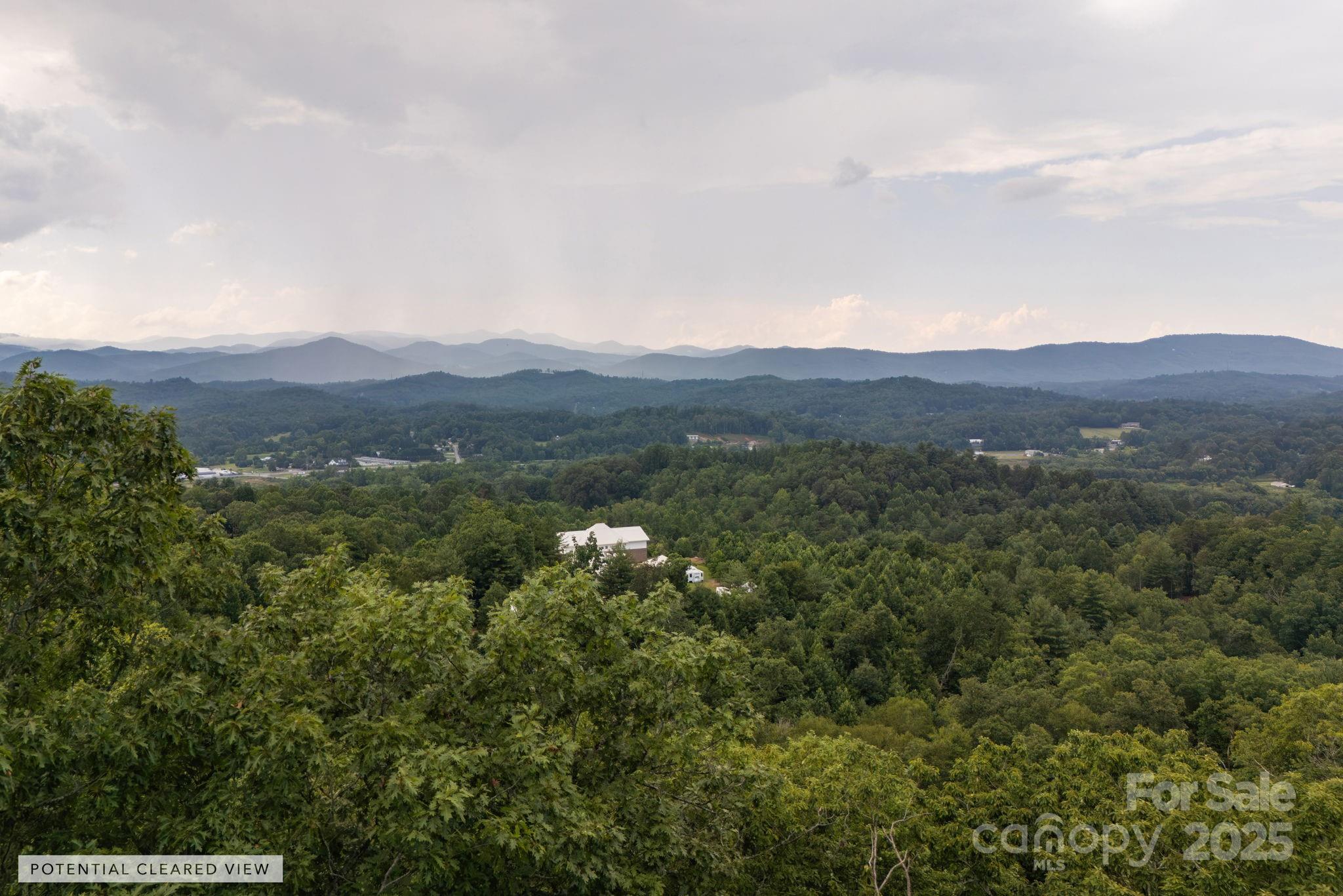 Masterpiece Ridge presents a rare opportunity to build
your dream home in one of Western North Carolina’s most
breathtaking settings. With sweeping, layered mountain
views and a serene, secluded atmosphere, this exclusive
enclave offers a harmonious blend of natural beauty and
refined mountain living in Hendersonville, North Carolina. 

Ideally situated between Hendersonville and Brevard, Masterpiece Ridge is a private 23-acre community
featuring just nine thoughtfully planned estate homesites. 

 While intimate in scale, the community boasts amenities typically reserved for larger developments. Whether unwinding with a sunset view or exploring nearby trails, every experience begins just steps from your front door.

 Community features / amenities include a gated entrance, scenic hiking trail, 3+ acres of community space, 
a private pickleball court, sunset viewing area and community raised-bed garden space. 

 Special + unique offering and call for an appointment today.