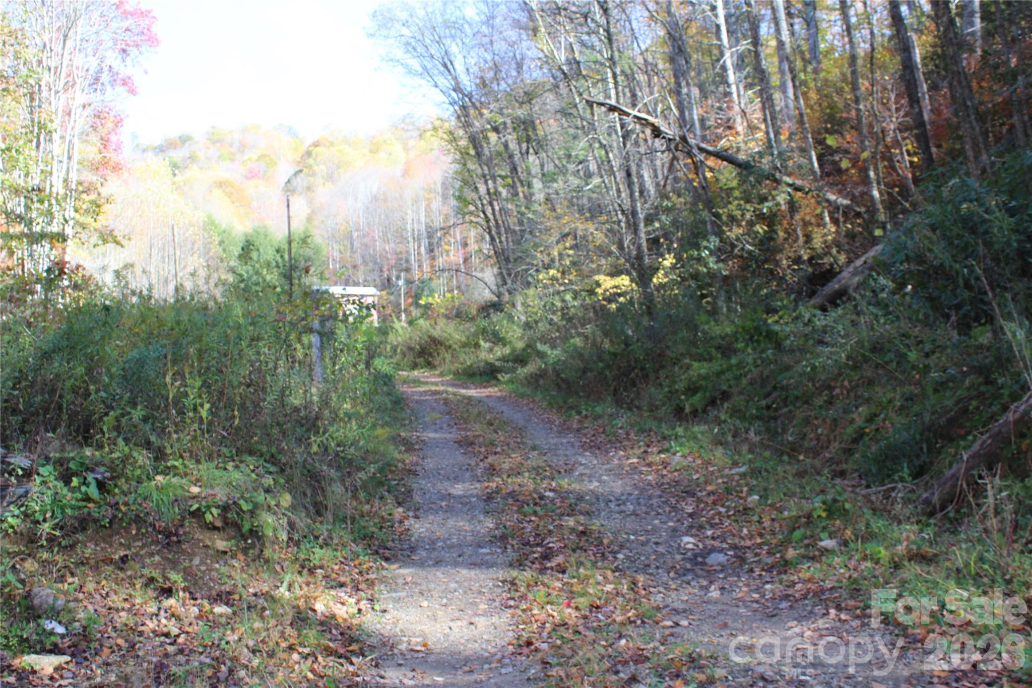 Escape to the countryside with this beautiful rural property offering just over 9 acres from a larger family farm tract. Conveniently located less than 30 minutes from the Tennessee border, this property offers peaceful seclusion while remaining close to local conveniences. Features include an established road running through the property, a natural spring, and electricity already on site—providing an excellent foundation for a future home, weekend getaway or mini-farm. The property was untouched by Hurricane Helene and offers an abundance of mature trees and wildlife, making it an exceptional opportunity for those seeking privacy, natural beauty, and rural charm.