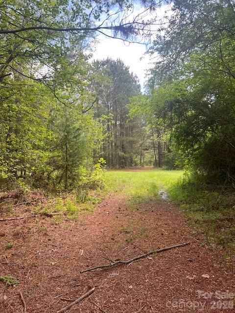 Hunter's Paradise.....Deer, Quail, Turkey. There is a small lake/pond that could be teeming with fish! Timber estimate is approximately $1400.00 an acre on at least 160 acres. Some timber ready to be cut. If the buyer wants an excellent hunting reserve this could just be the very best one out there! Many hunters have leased this land over the years. If owner wished this tract could be eligible for conservation programs.