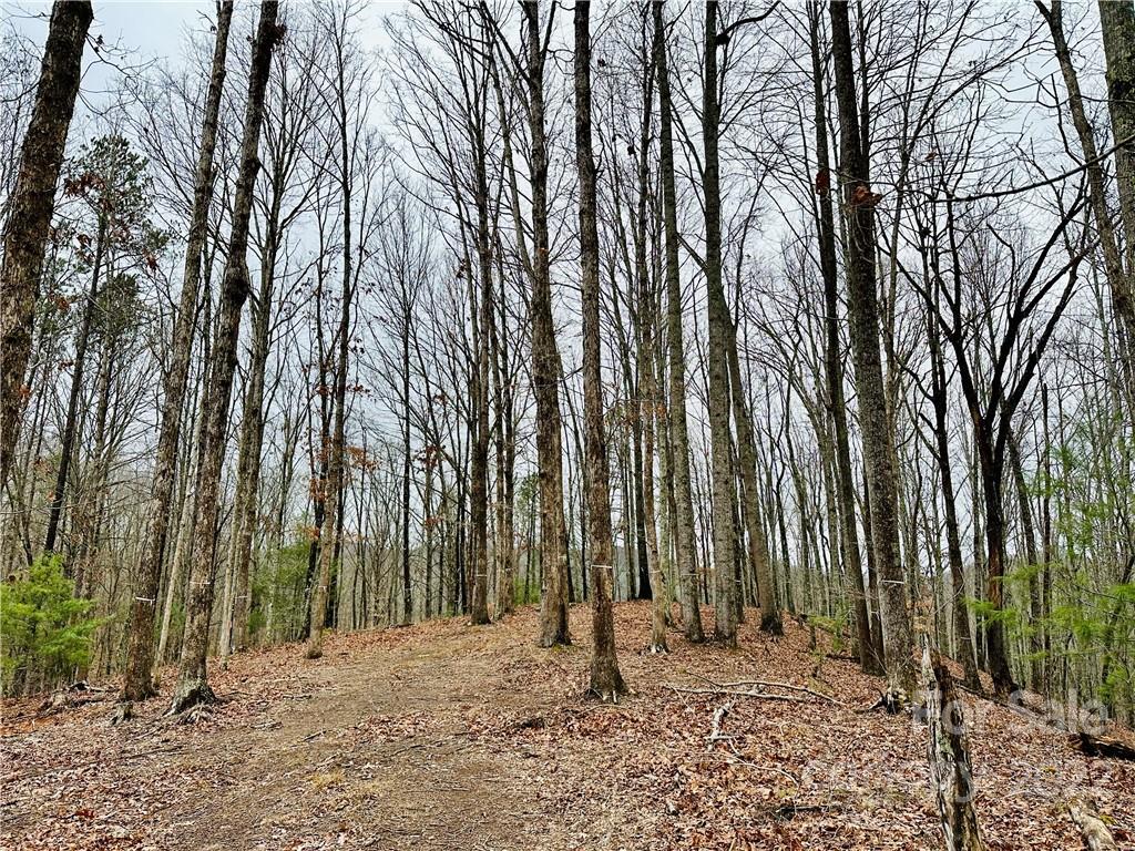 French Broad Crossing - Land