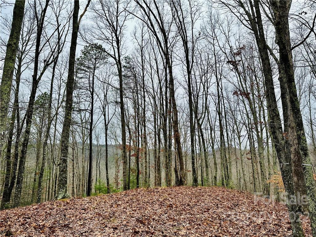 French Broad Crossing - Land