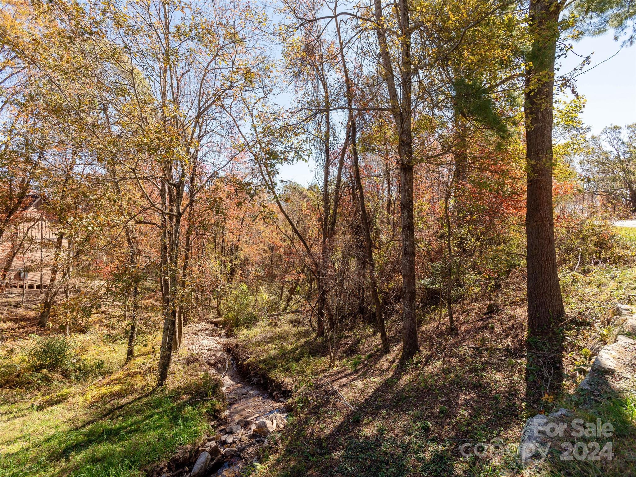 Grand Highlands at Bearwallow - Land