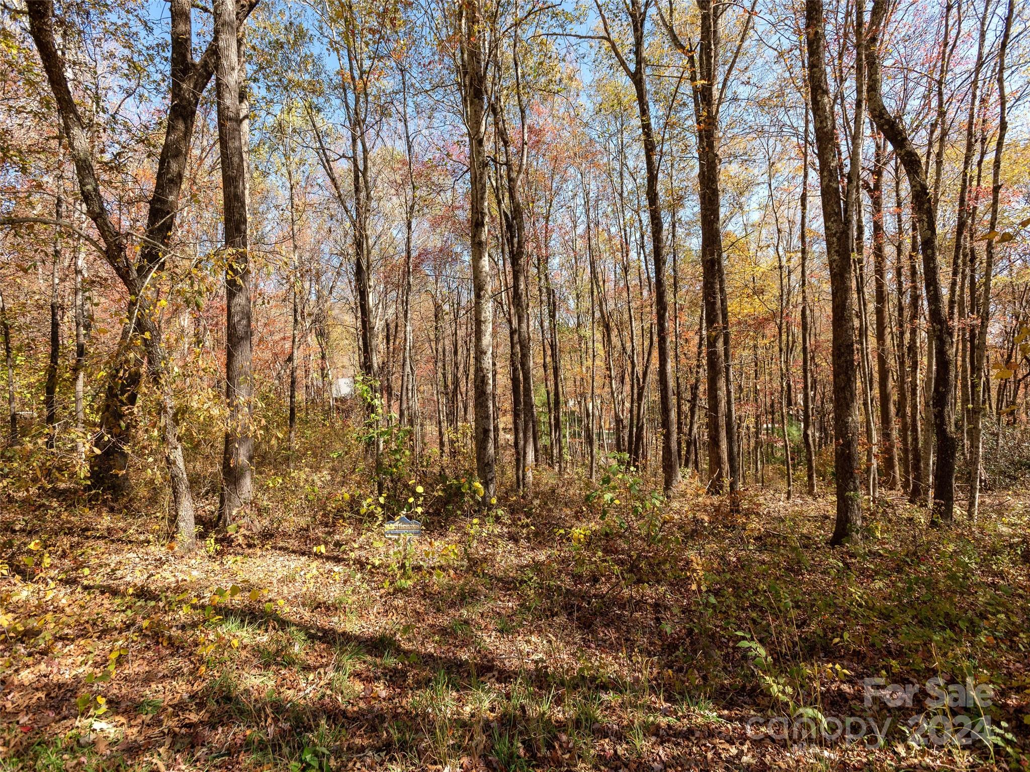 Grand Highlands at Bearwallow - Land