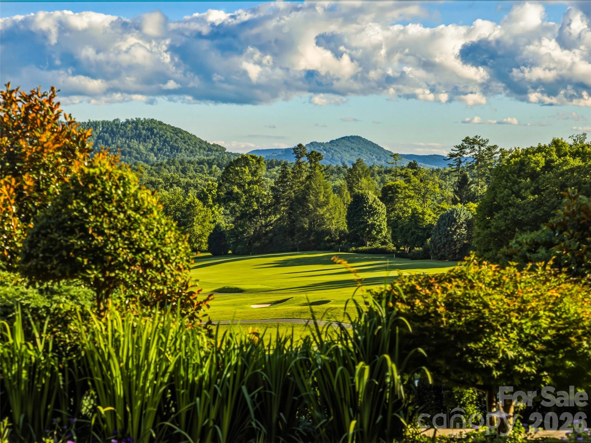 Biltmore Forest - Residential