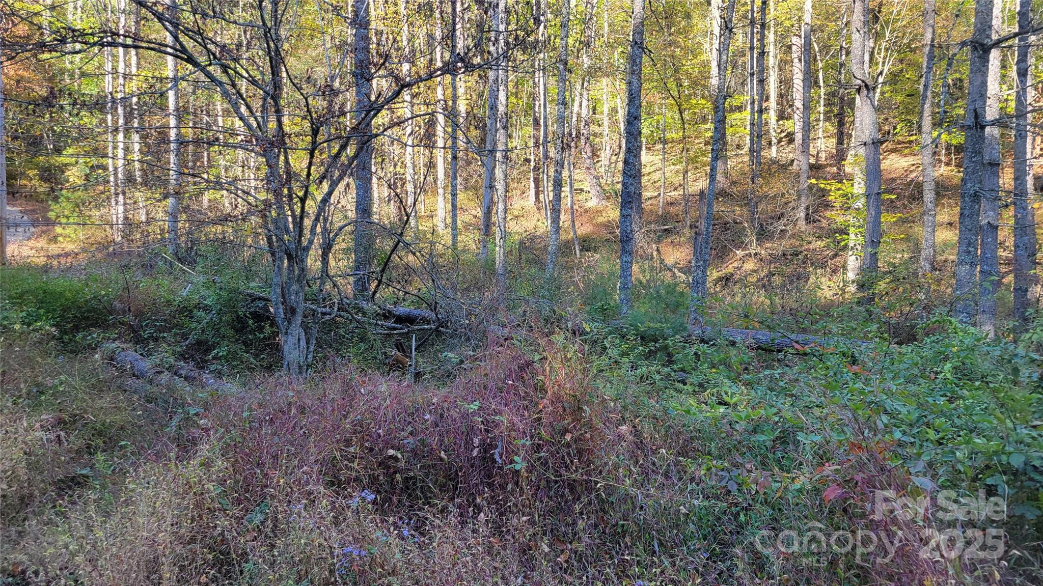 Clearmont Estates - Land