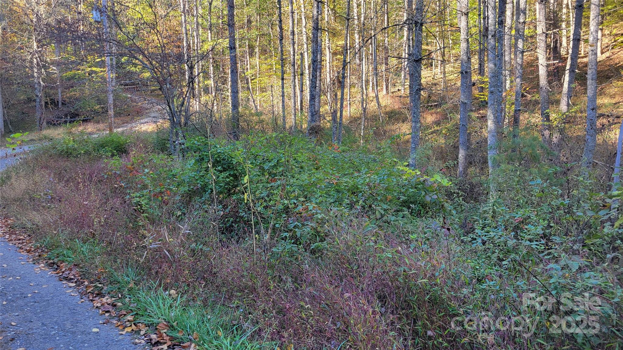 Clearmont Estates - Land