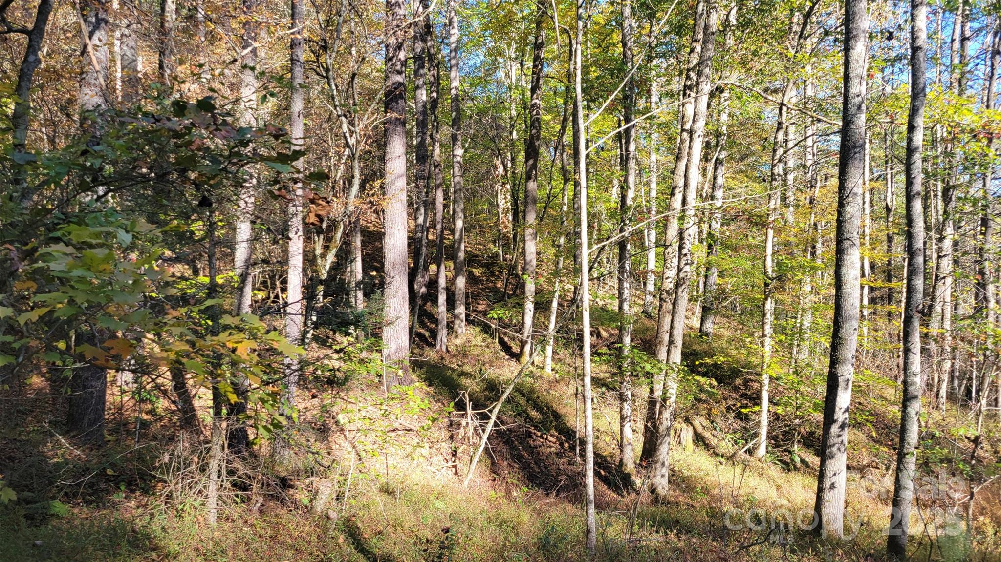 Clearmont Estates - Land