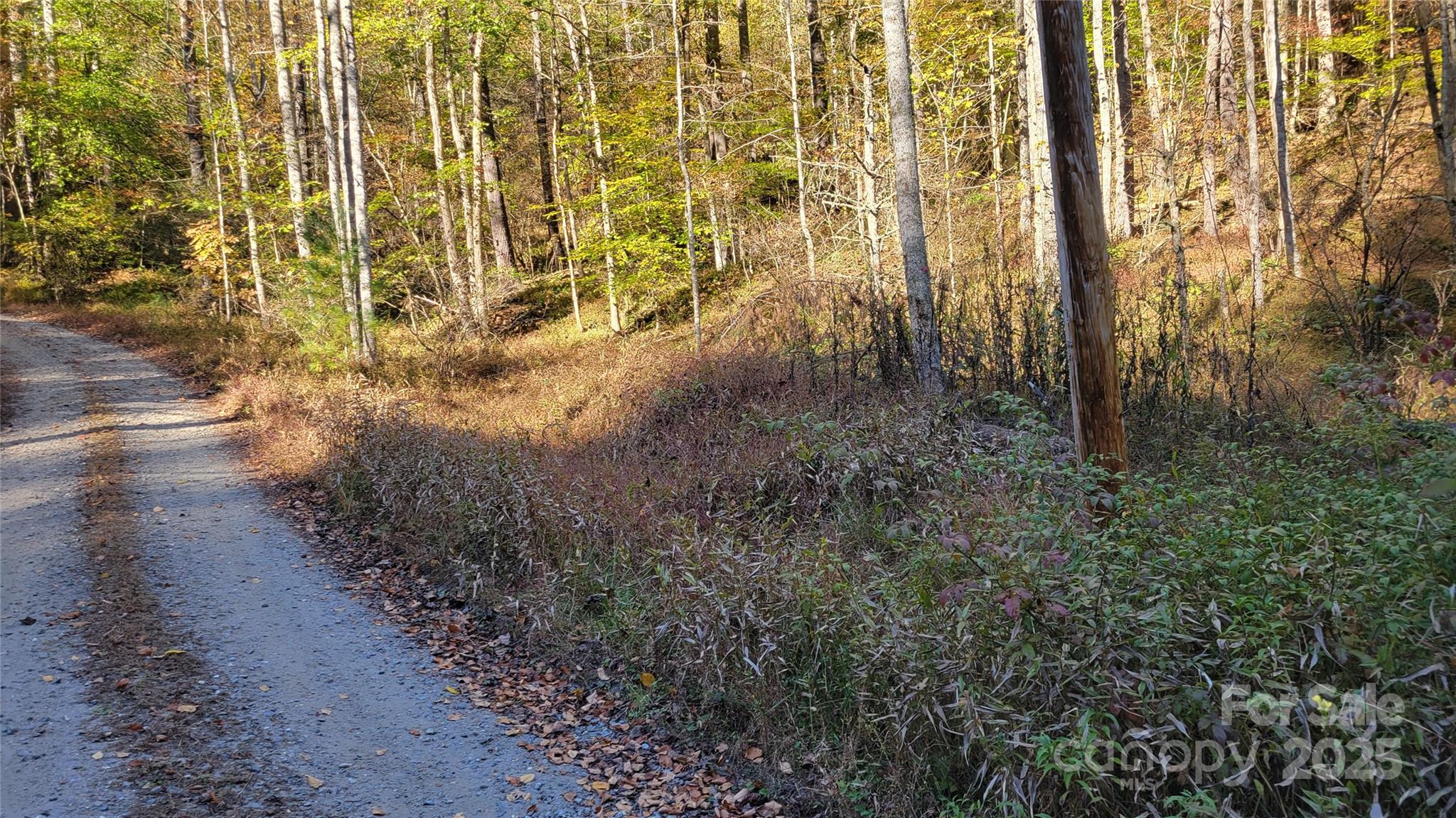 Wooded Lot 12 with Pond View in Clearmont Estates – Burnsville, NC

Discover the perfect setting for your year-round home or peaceful mountain getaway in beautiful Clearmont Estates. This wooded lot overlooks a serene pond and offers a tranquil natural setting just 5.5 miles from downtown Burnsville.

The property features sloping to steep terrain with multiple exposures and a small branch running through, ideal for creating a private retreat surrounded by nature. Borders Cabin Hill Road for convenient access.

Priced below tax value – a fantastic opportunity to own your own piece of the mountains. Come explore the possibilities — a must-see!