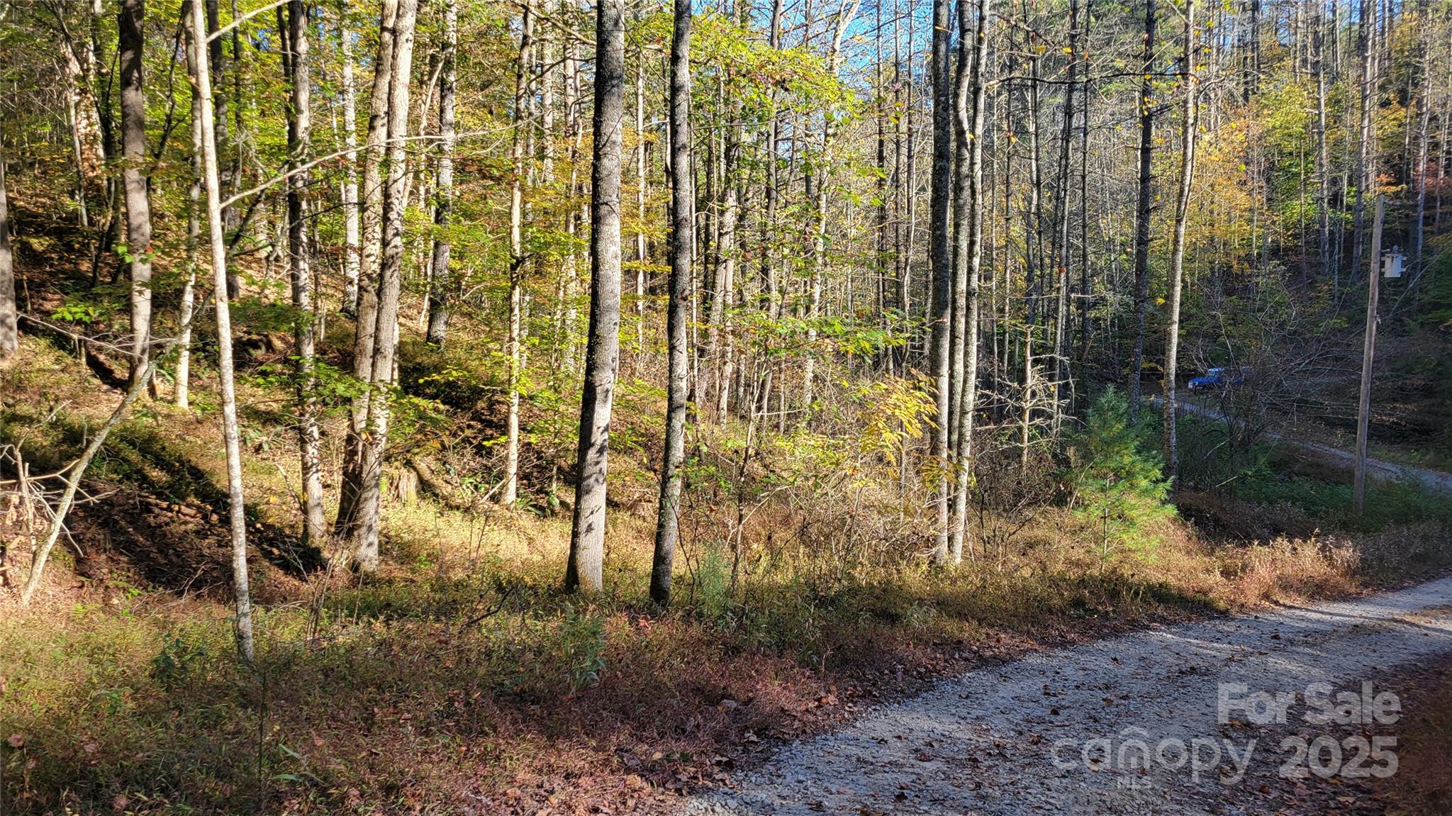Clearmont Estates - Land