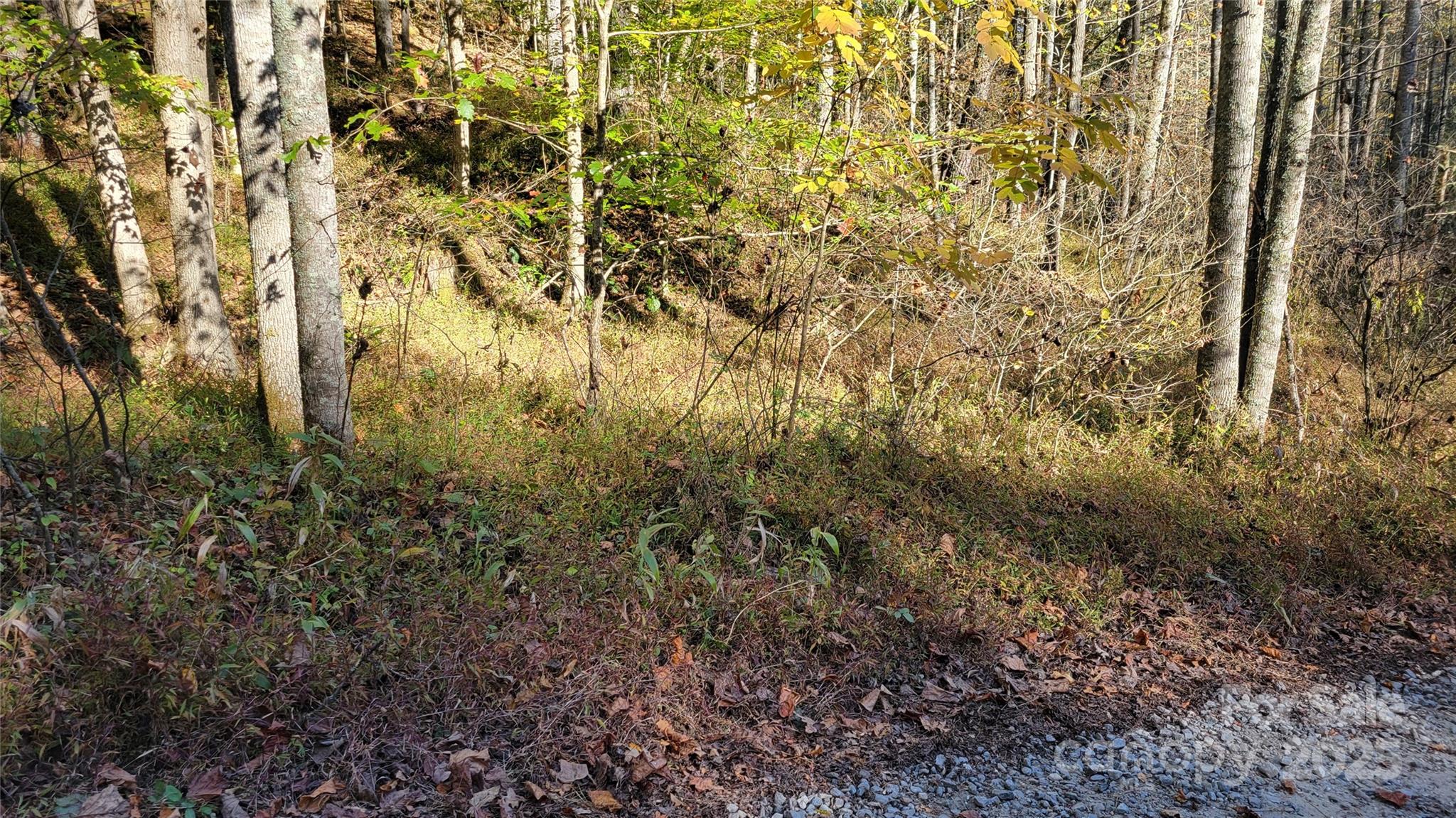 Clearmont Estates - Land