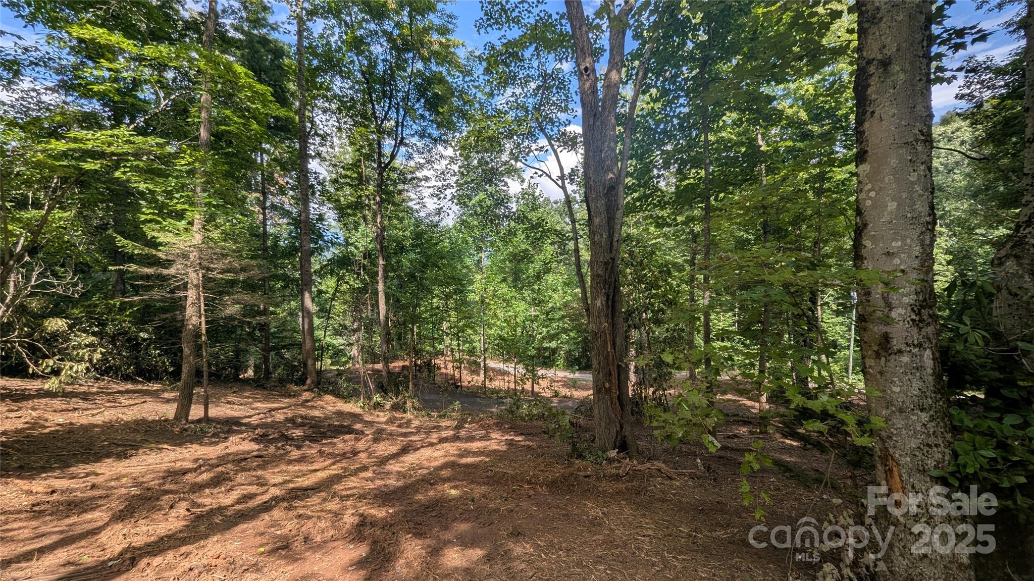 Chestnut Walk - Land
