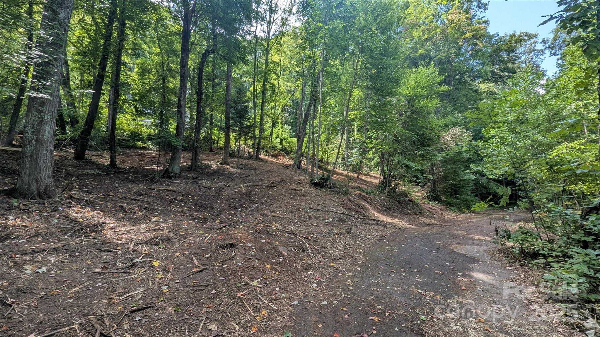 Chestnut Walk - Land