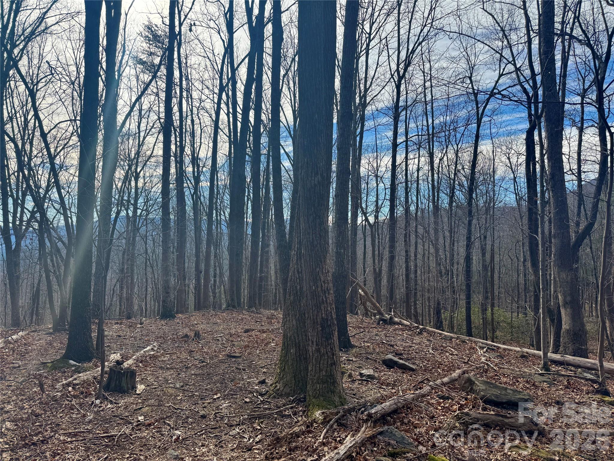 Brights Creek - Land
