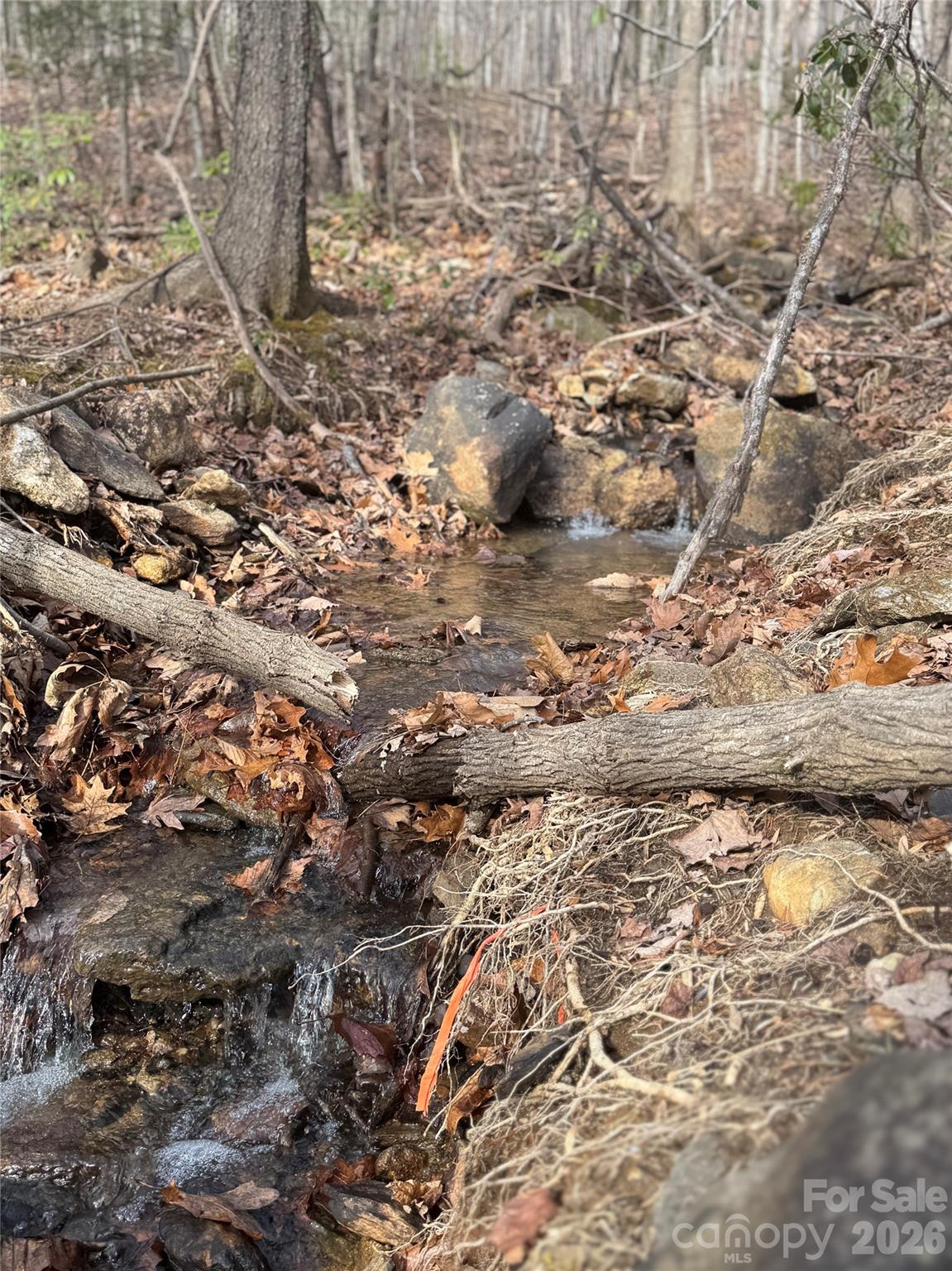Brights Creek - Land