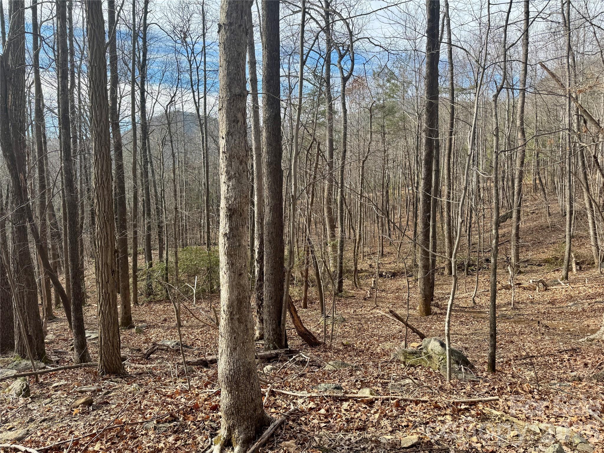 Brights Creek - Land