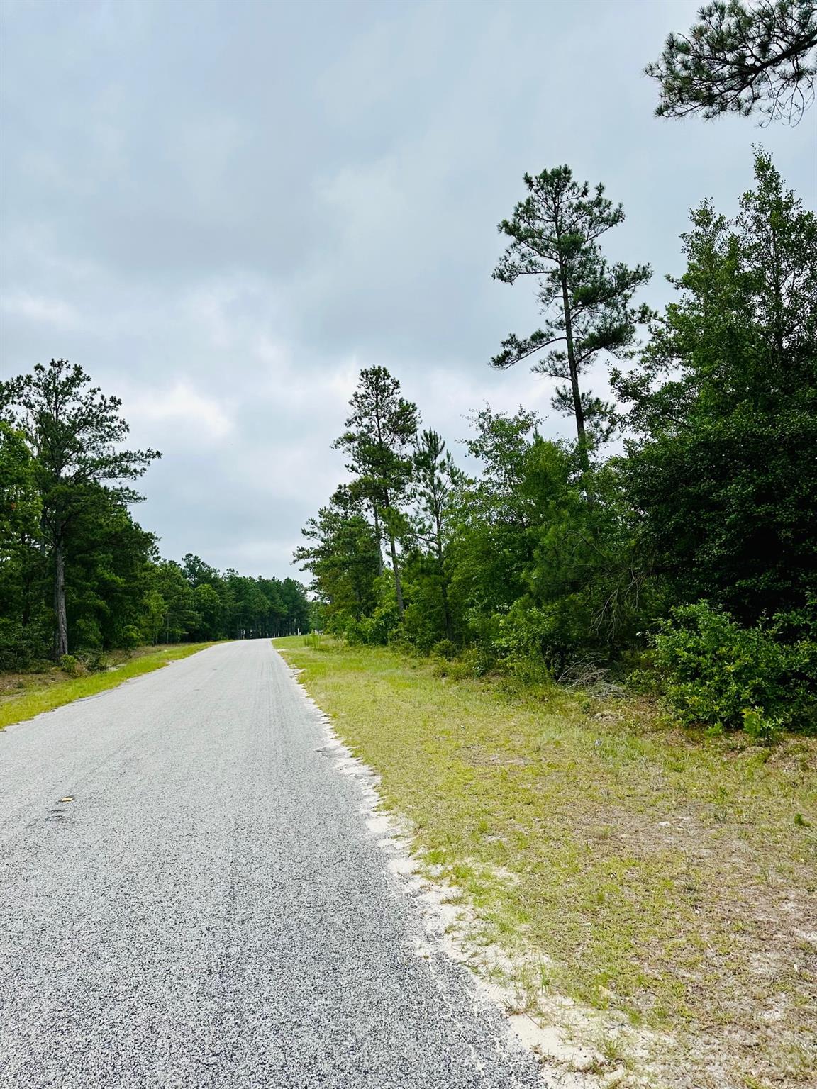6.11 acres in the country! Wonderful location- only 6 miles from the town of Kershaw. Great spot to build! Zoned for mobile, modular, or stick built homes. Septic and water tap needed. Bethune rural water available. Septic permit on file-perc test was done in 2021. Approx 480 ft road frontage.