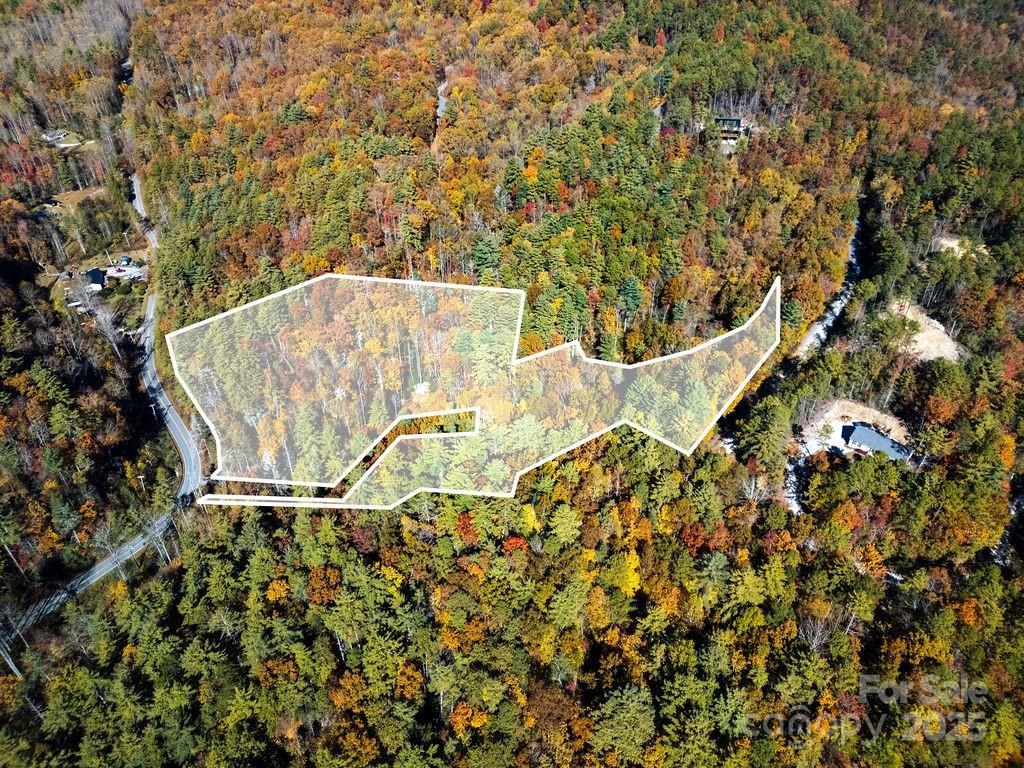 Oak Laurel - Land