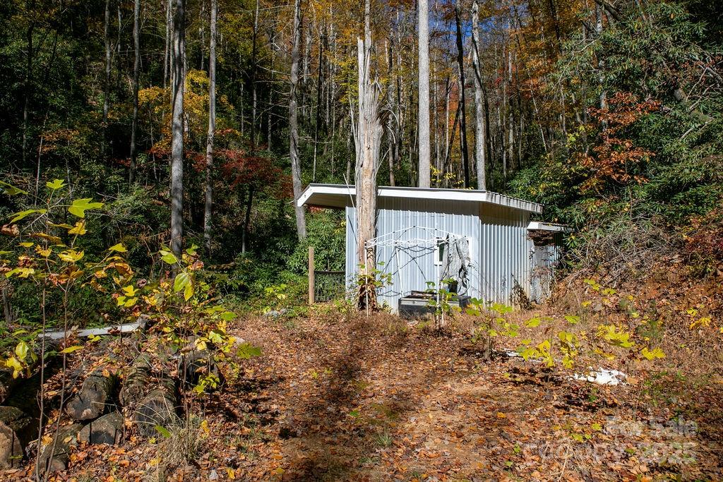 Oak Laurel - Land