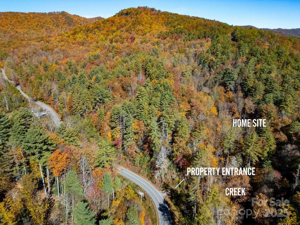 Oak Laurel - Land